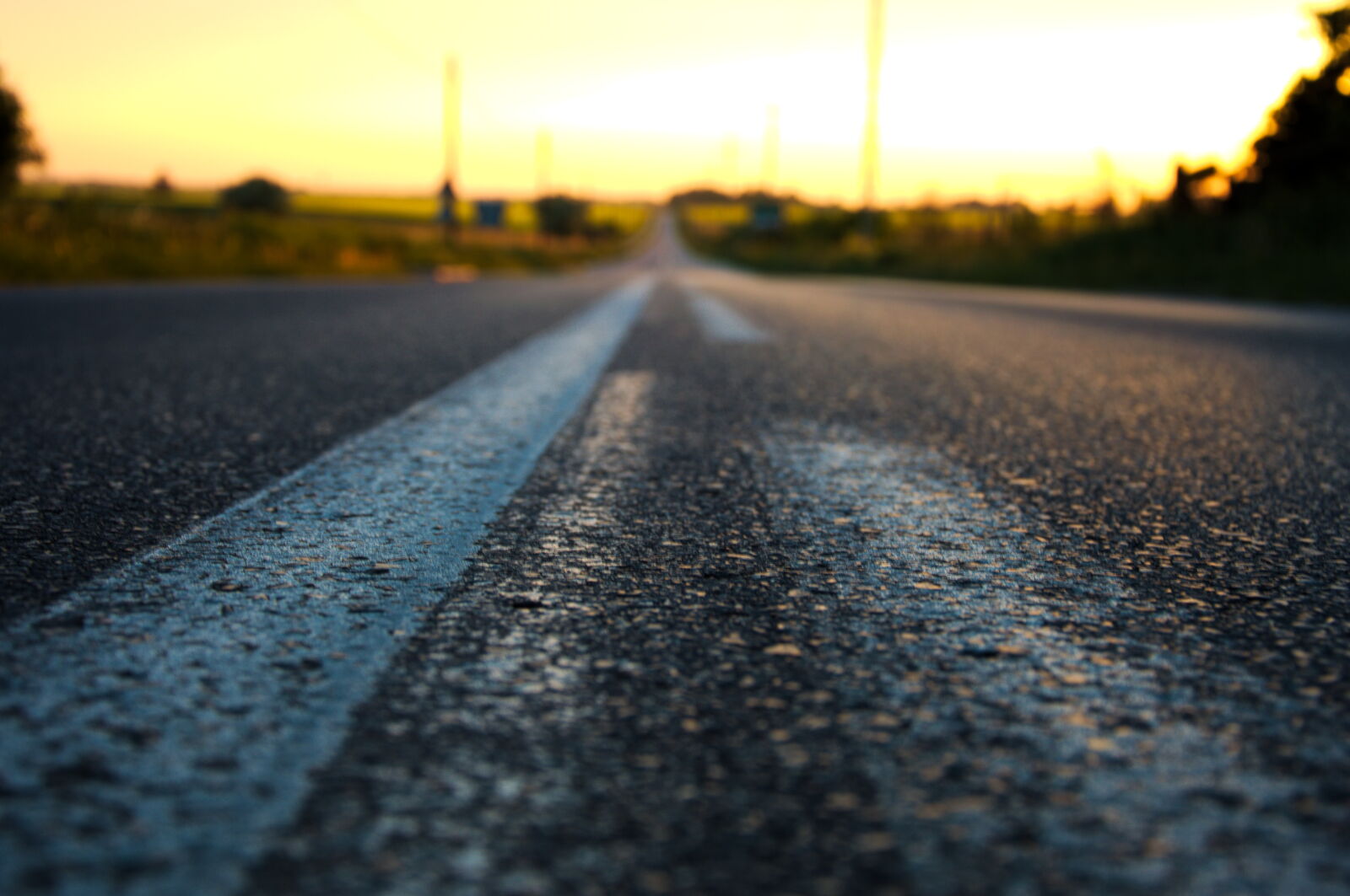 Nikon D3200 sample photo. Theme, low, angle photography