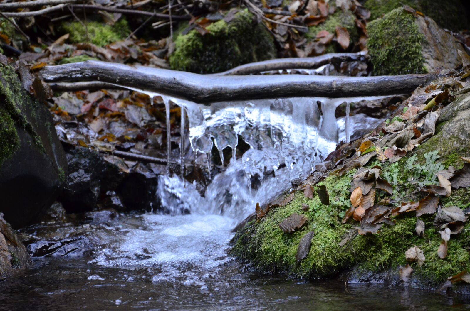 Nikon D7000 sample photo. Forest, water, landscape photography