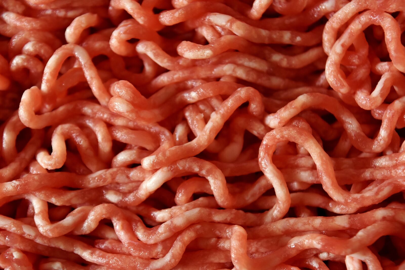 Nikon D7200 sample photo. Minced meat, raw, eat photography