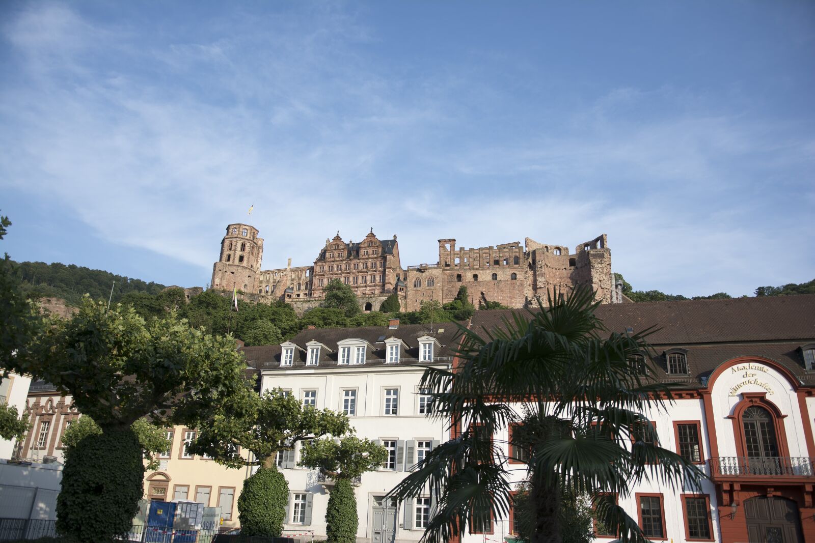 Nikon D7100 sample photo. Castle, heidelberg, historic center photography