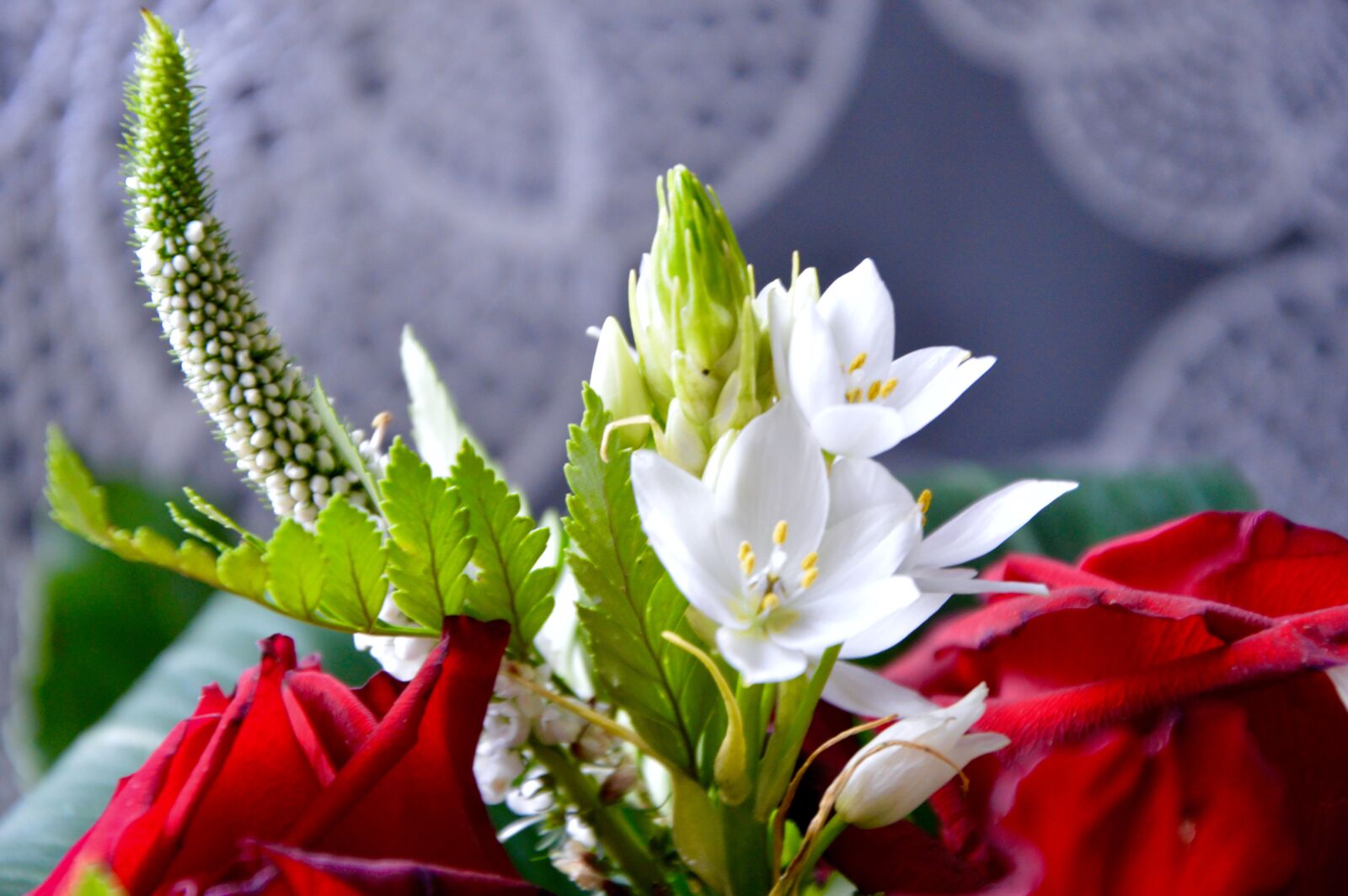 Nikon D3200 sample photo