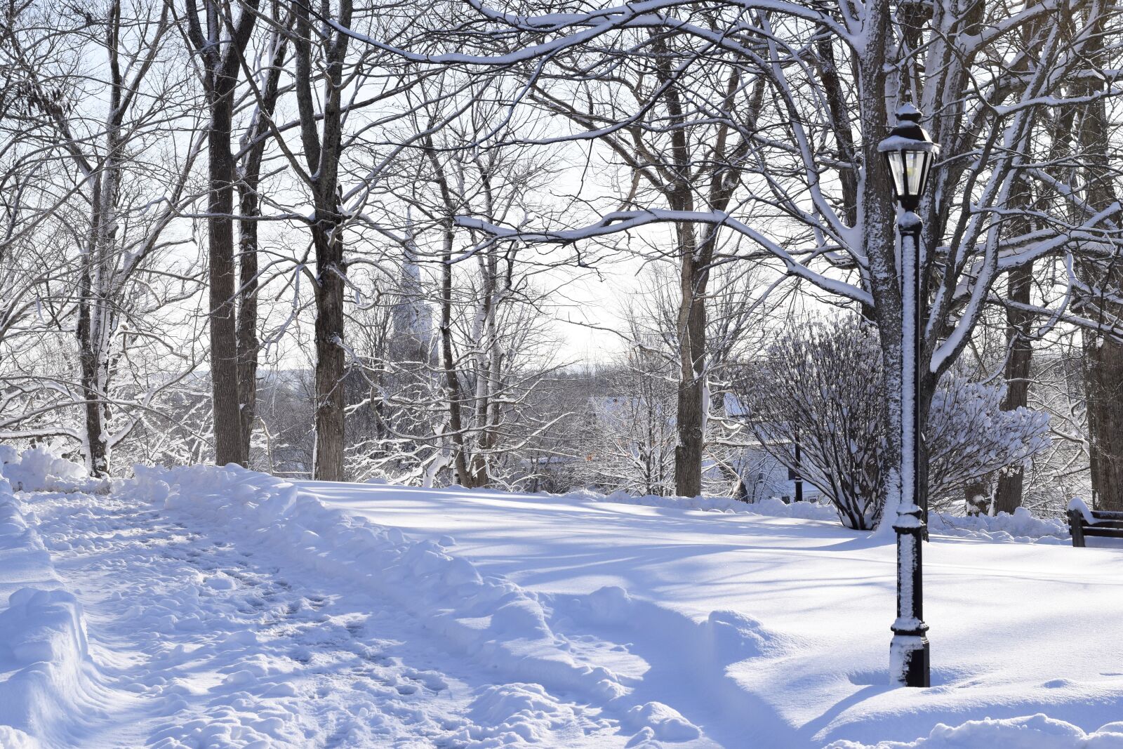 Nikon D5300 sample photo. Winter, snow, frost photography
