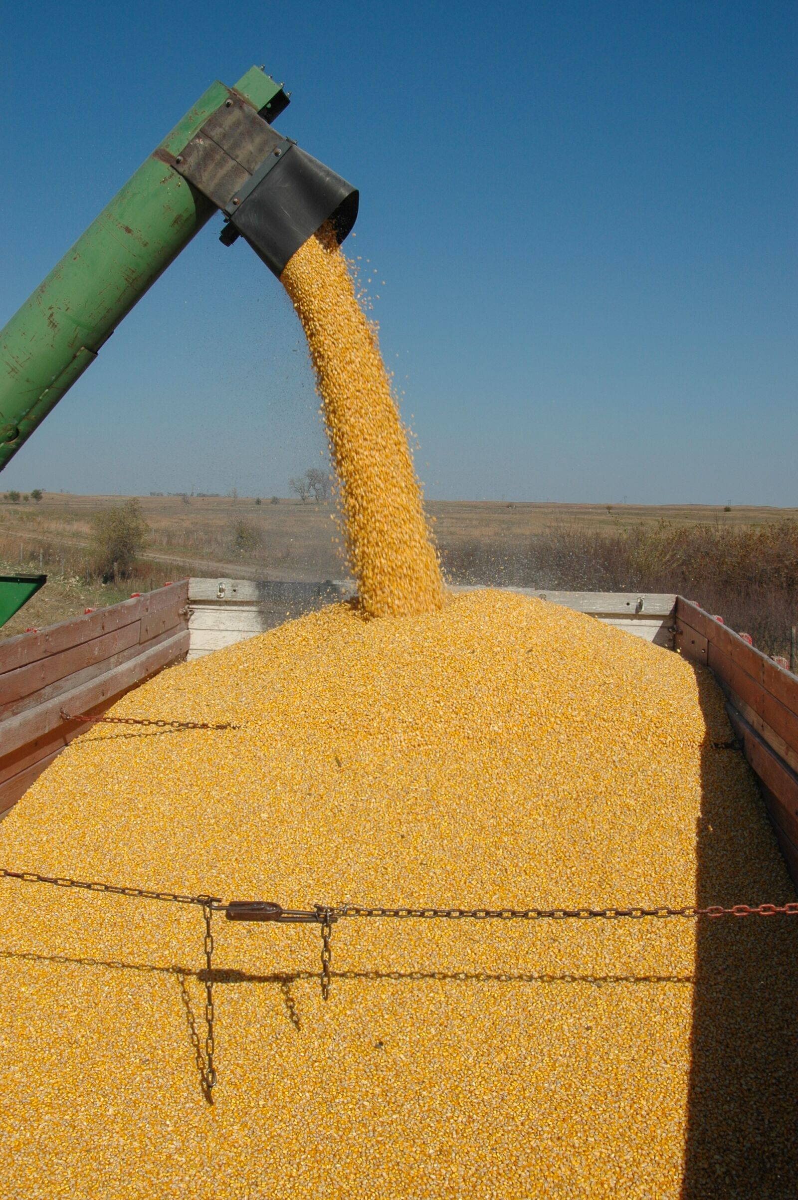 Nikon D70 sample photo. Harvest, corn, fall photography