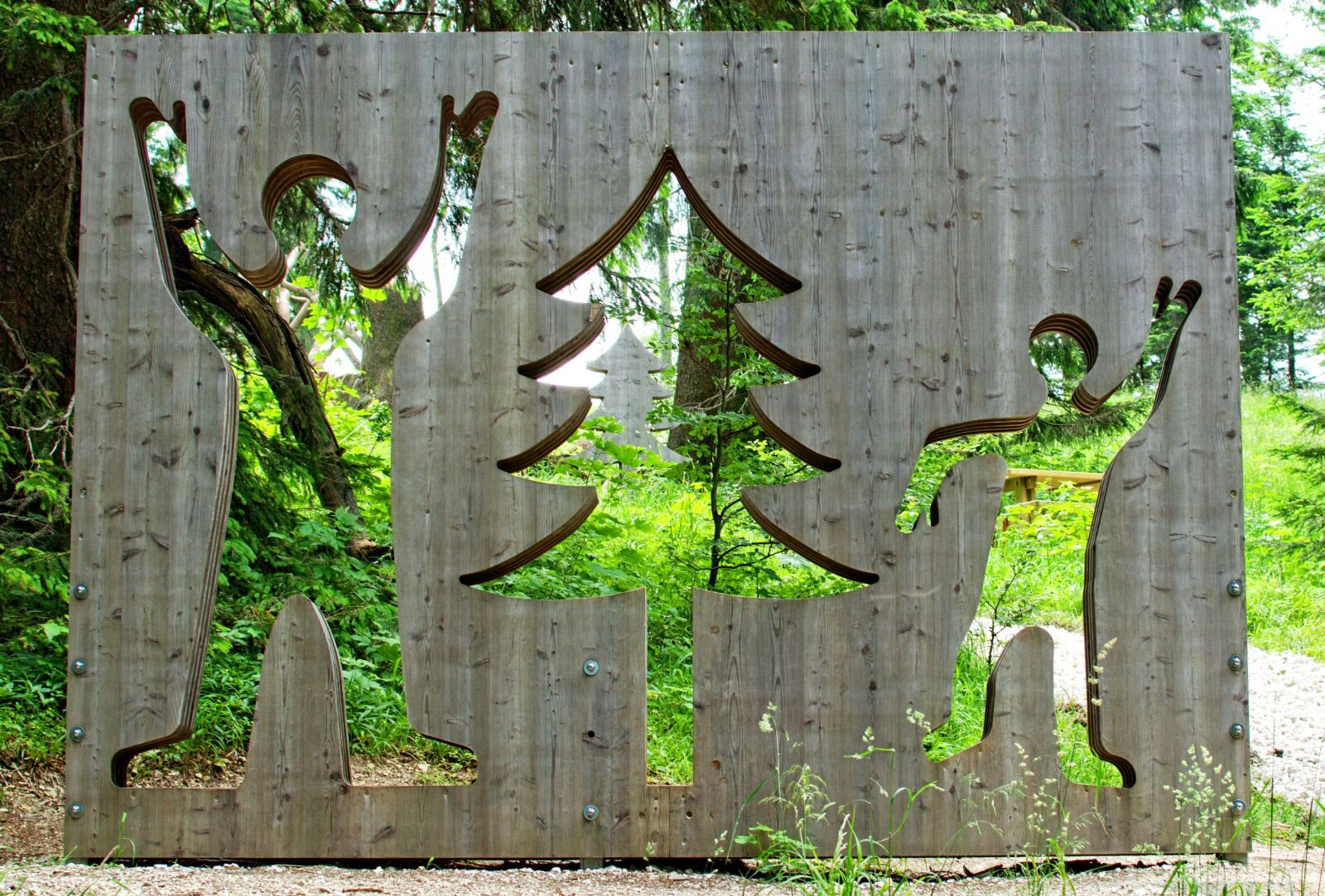 Nikon D7100 sample photo. Symbol, nature, forest photography
