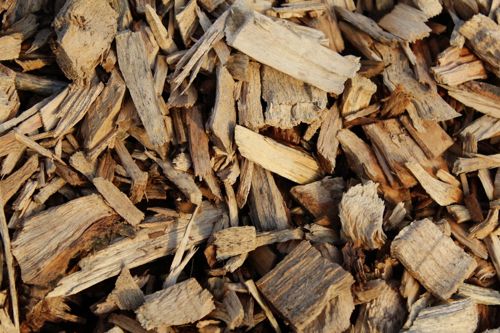 Canon EOS 1200D (EOS Rebel T5 / EOS Kiss X70 / EOS Hi) sample photo. Wood, mulch, bark photography