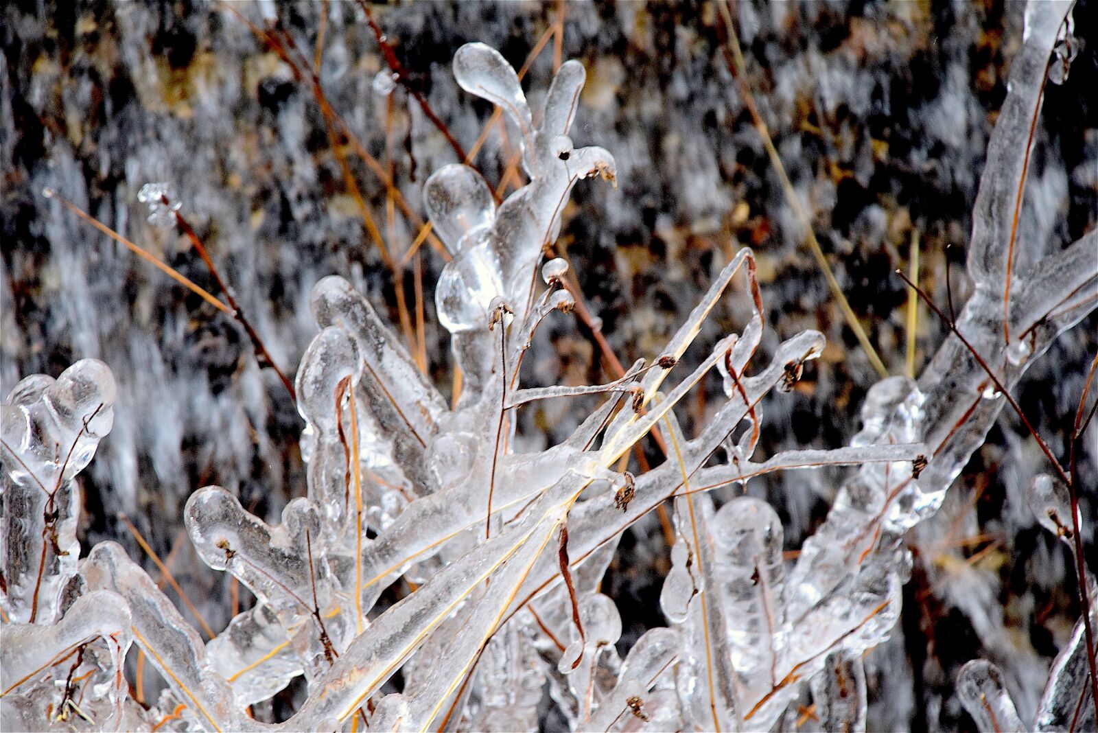 Nikon D3300 sample photo. Ice, crystals, winter photography