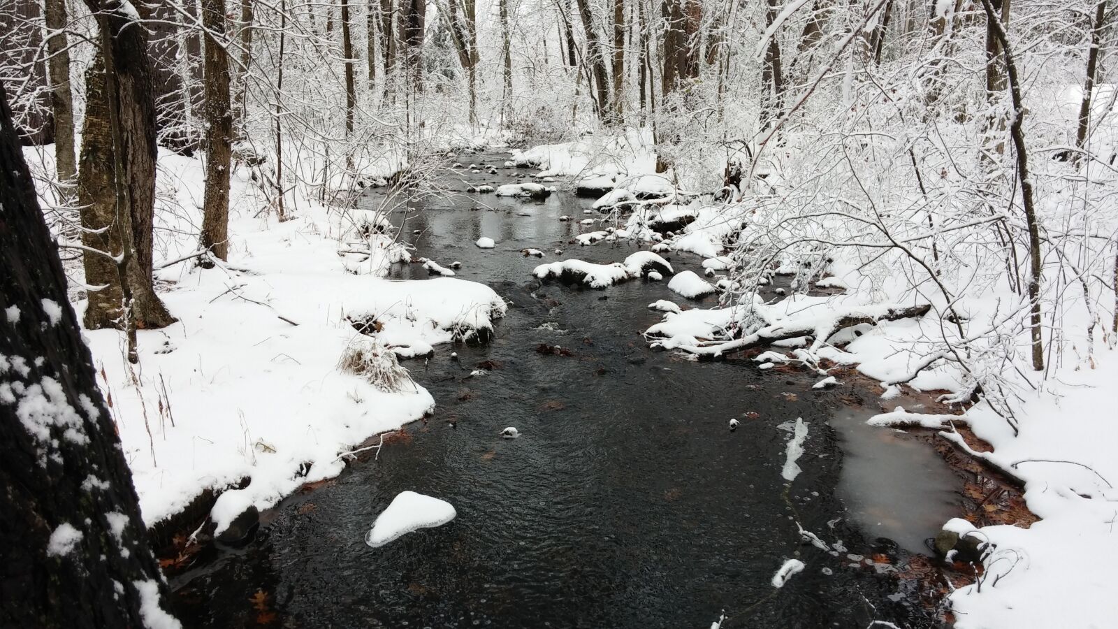 LG G2 sample photo. Stream, forest, winter photography