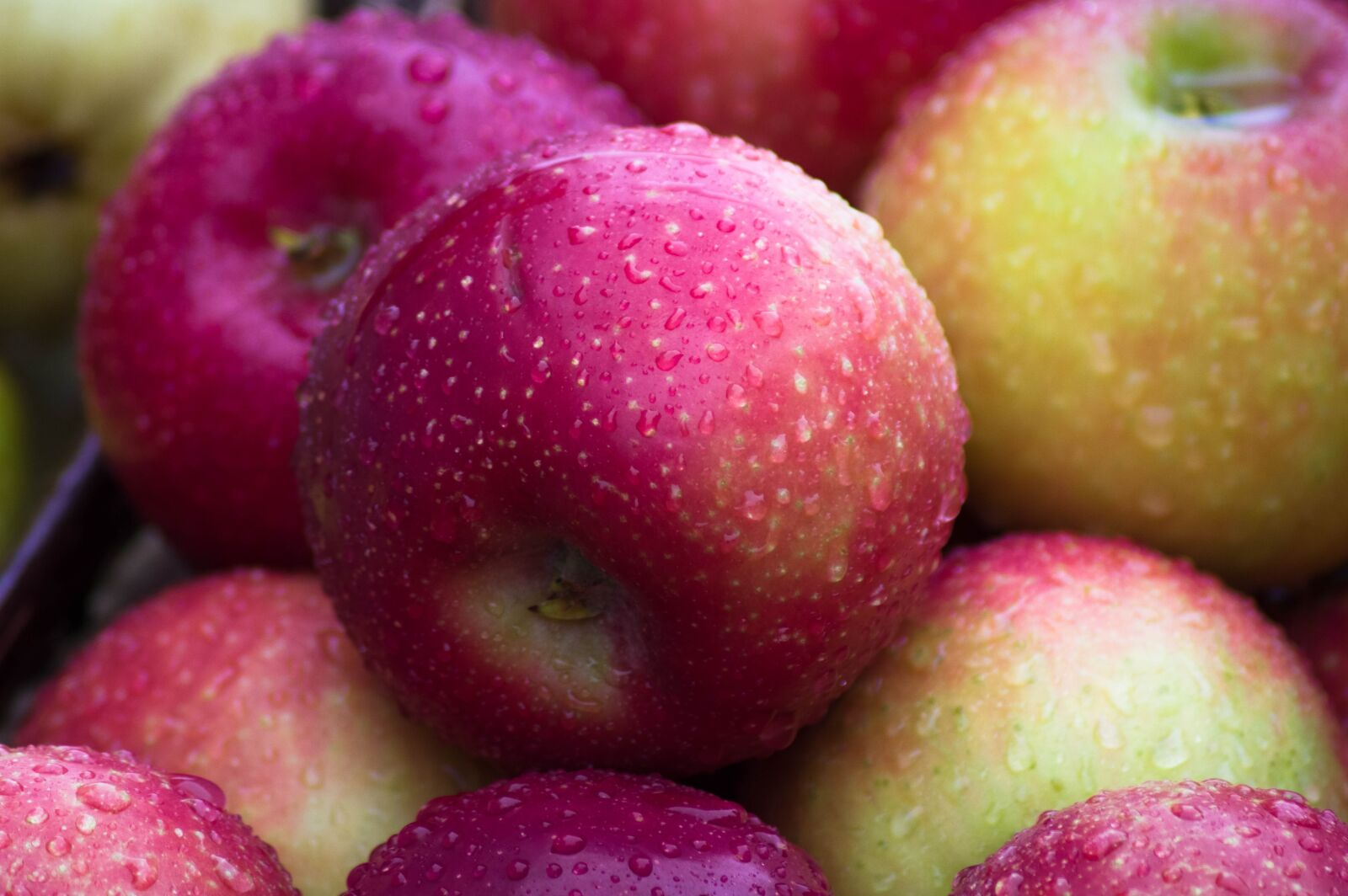 Pentax KP sample photo. Apples, apple, fruit photography