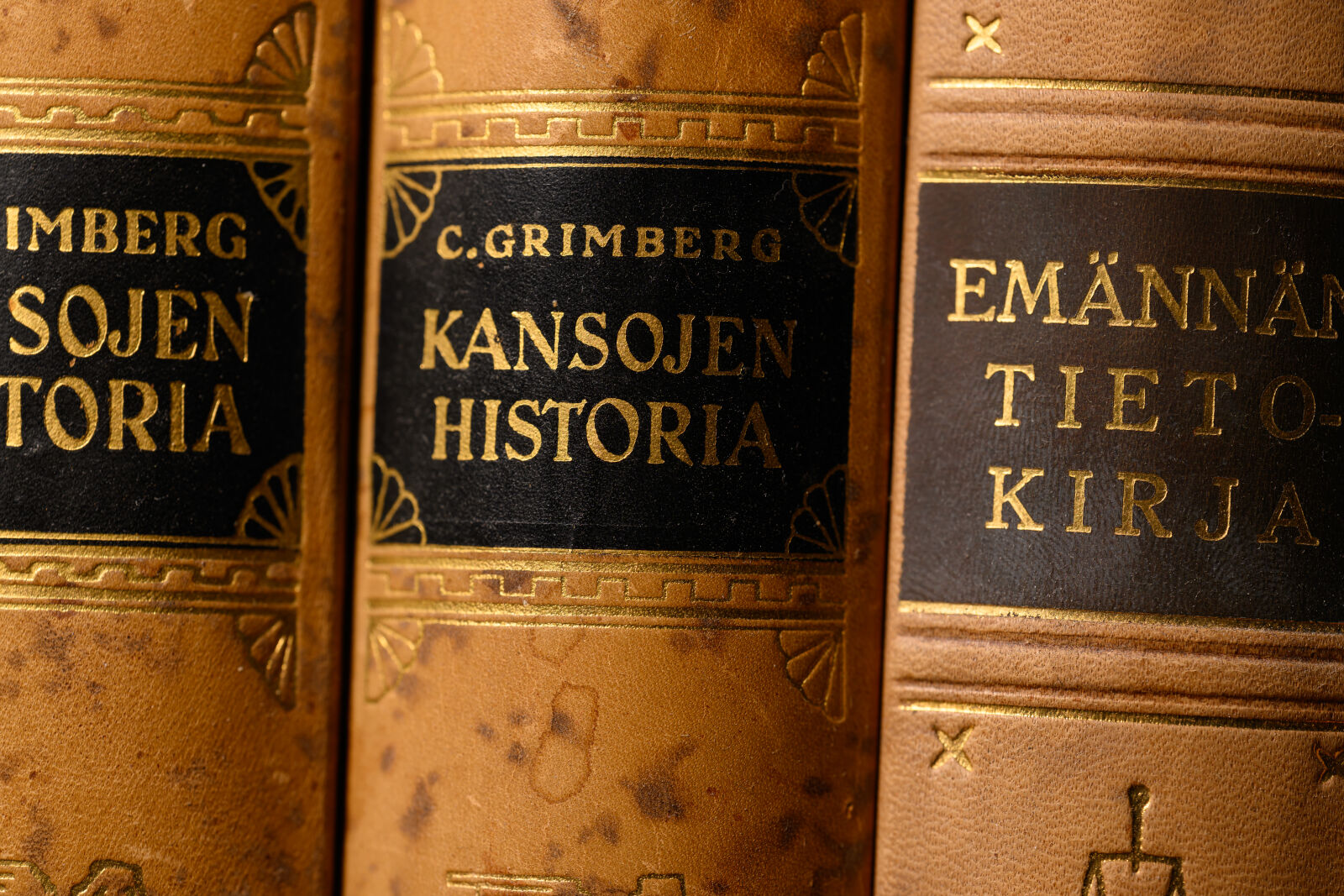 Nikon Z8 sample photo. Old books photography