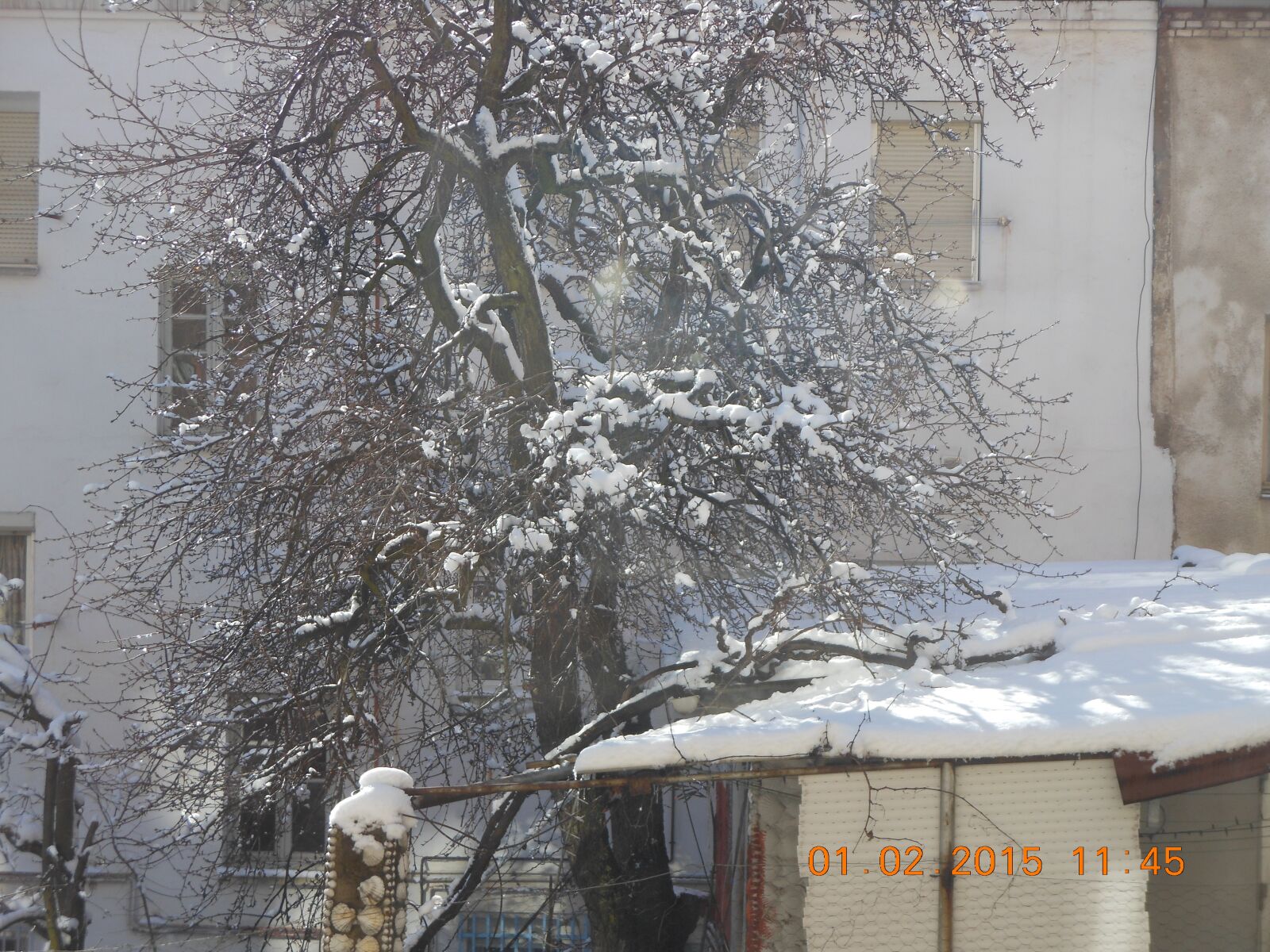 Nikon Coolpix S6200 sample photo. Nieve, invierno, omar photography