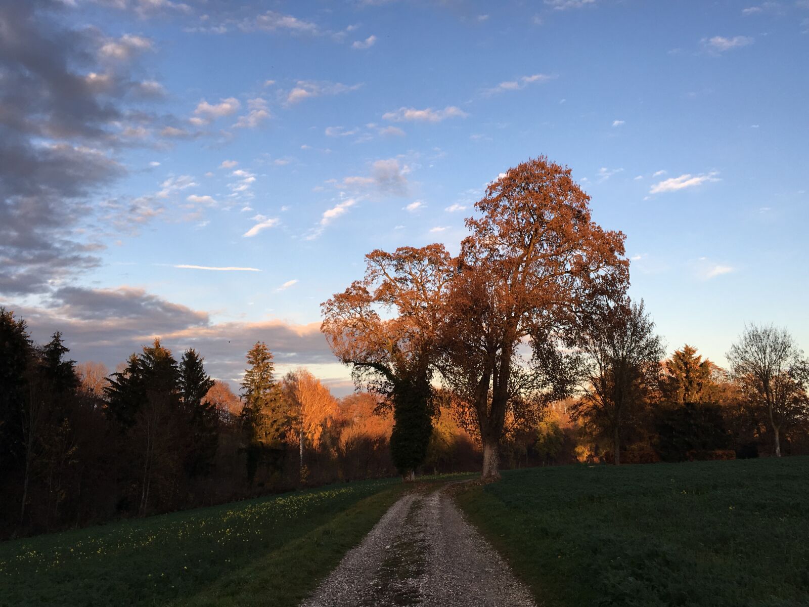 Apple iPhone 6s sample photo. Herbst, natur, sonnenuntergang photography