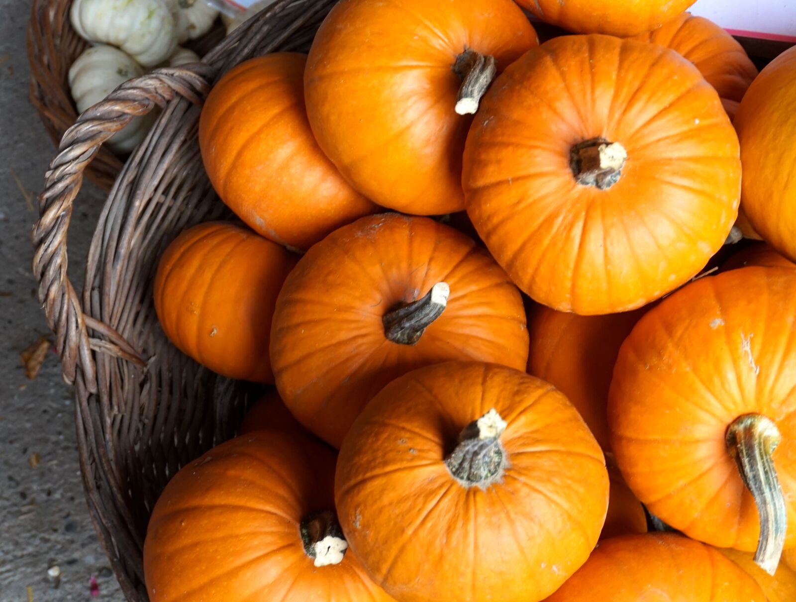 Sony Alpha a5000 (ILCE 5000) sample photo. Pumpkin, yellow, autumn photography