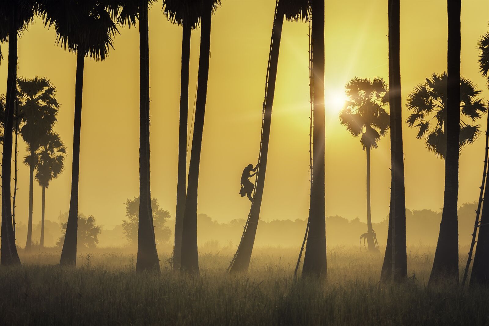 Nikon D750 sample photo. Thailand, morning, light photography