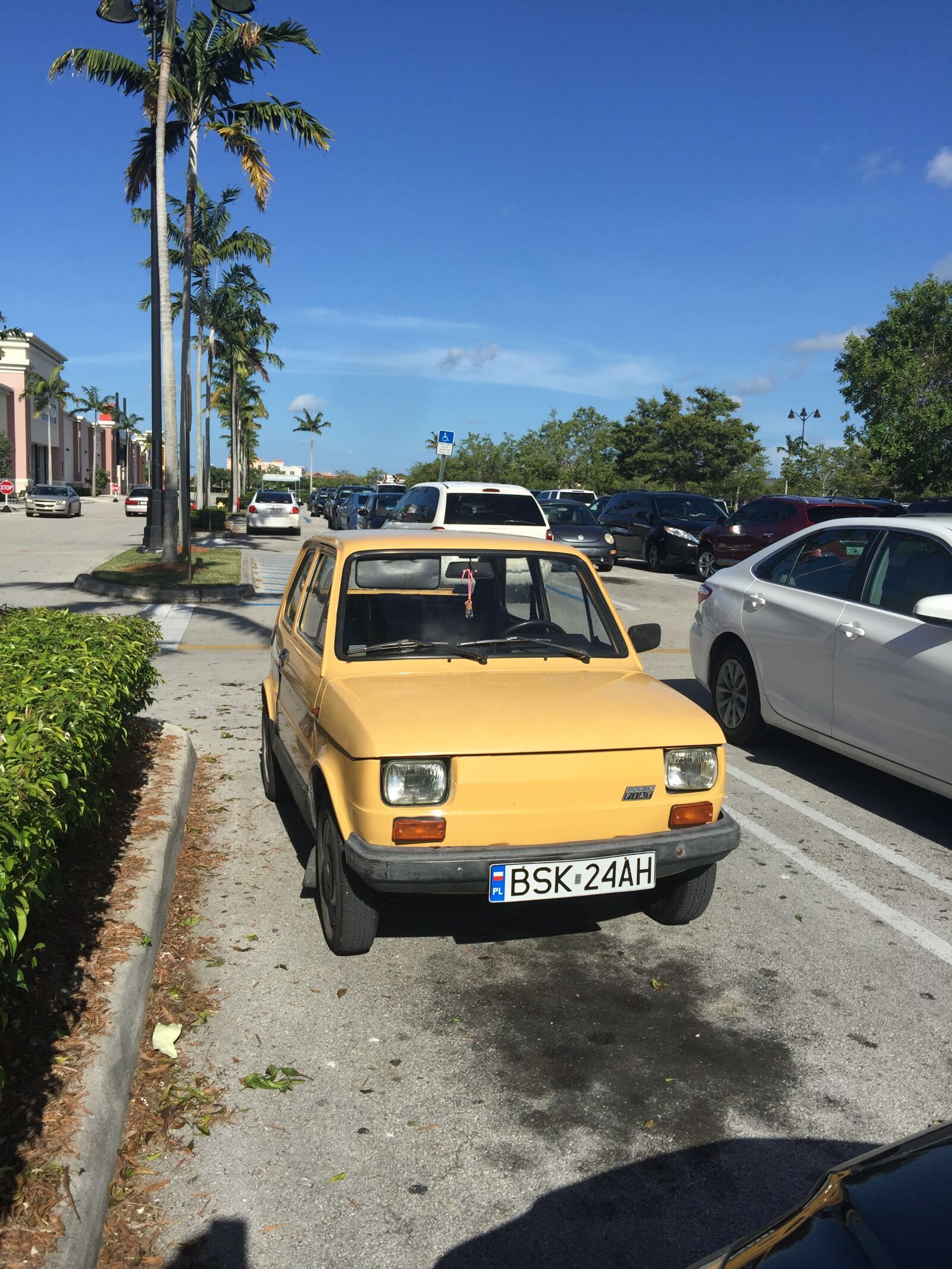 iPhone 6 Plus back camera 4.15mm f/2.2 sample photo. Car, polski, yellow car photography