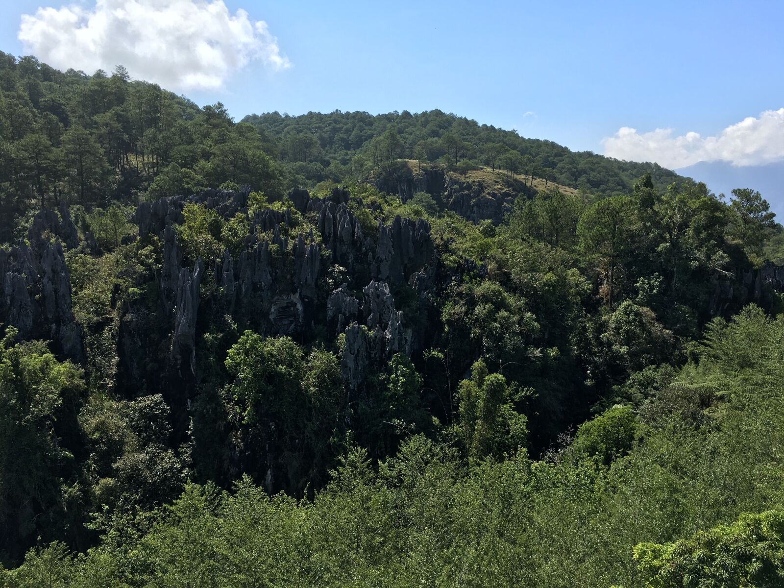 Apple iPhone 6s sample photo. Photographic background, benguet, mountain photography