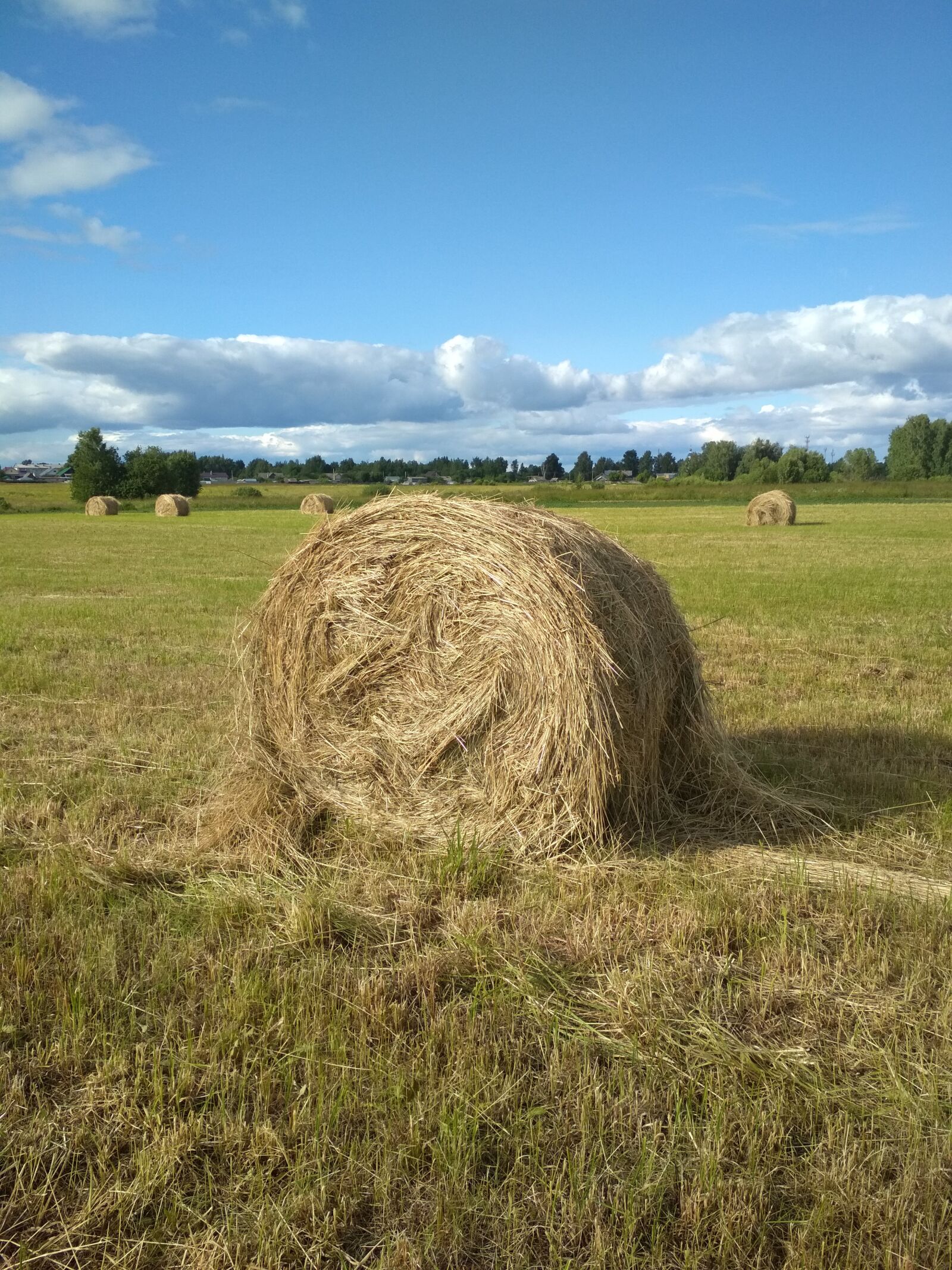 Xiaomi Redmi 4X sample photo. Field, russia, silage photography
