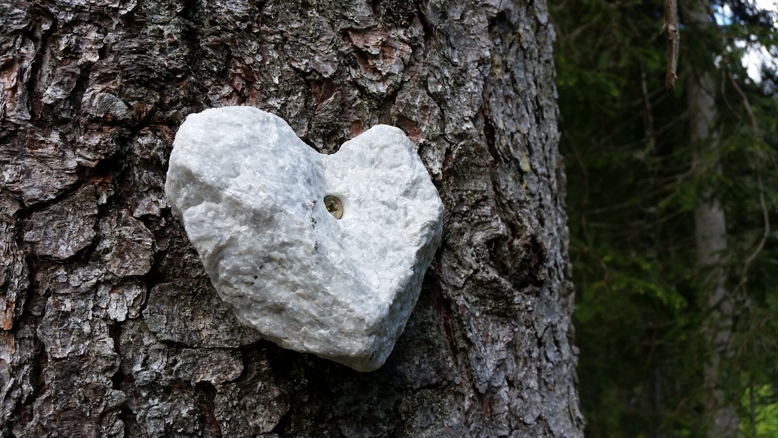 Samsung Galaxy S5 sample photo. Stone, heart, wood photography