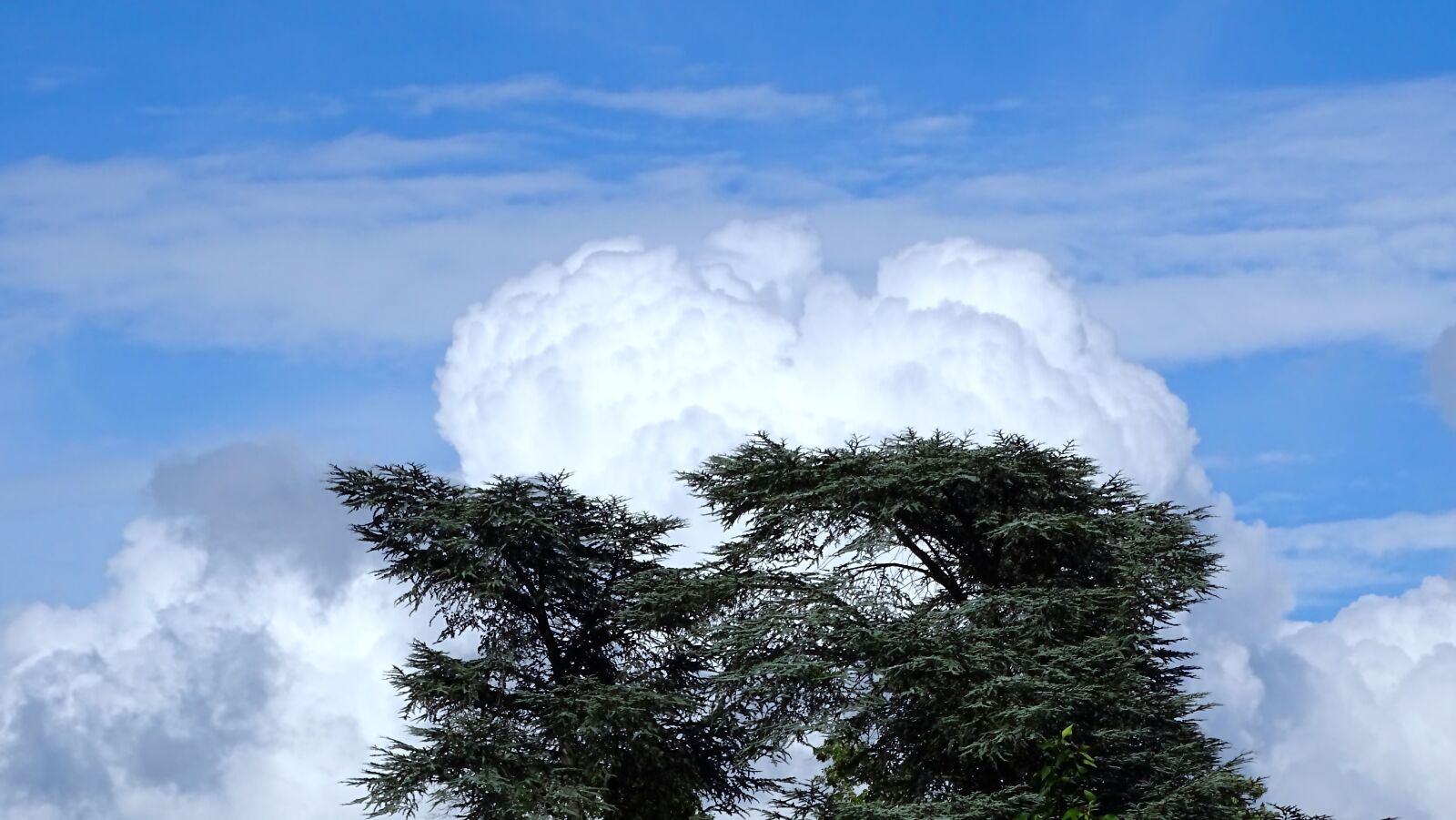 Sony 24-210mm F2.8-6.3 sample photo