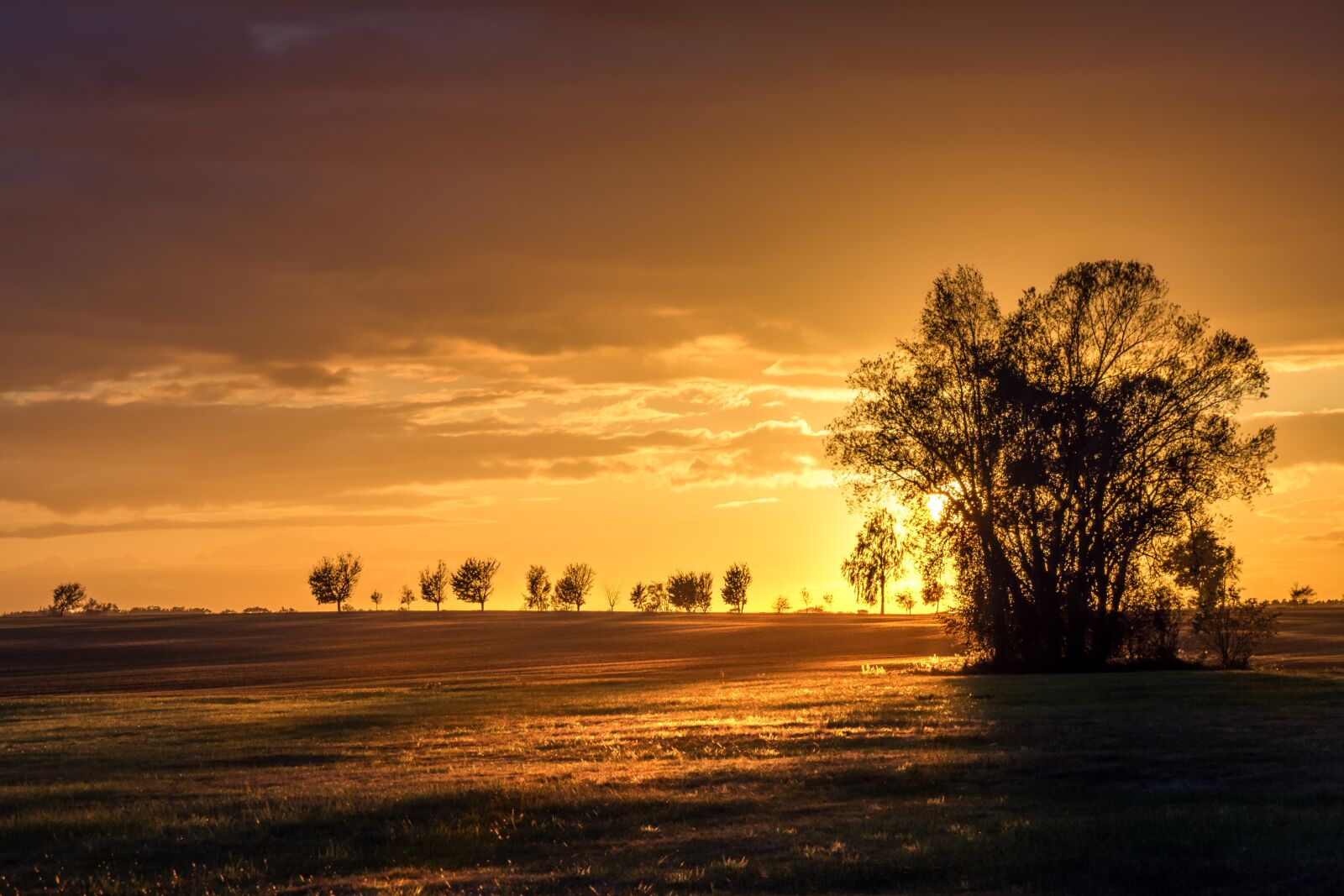 Nikon D7200 sample photo. Sunset, sun, golden photography