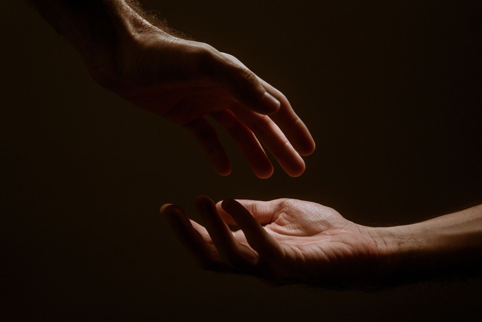 Sony a6300 sample photo. Hand, hands, ascension photography