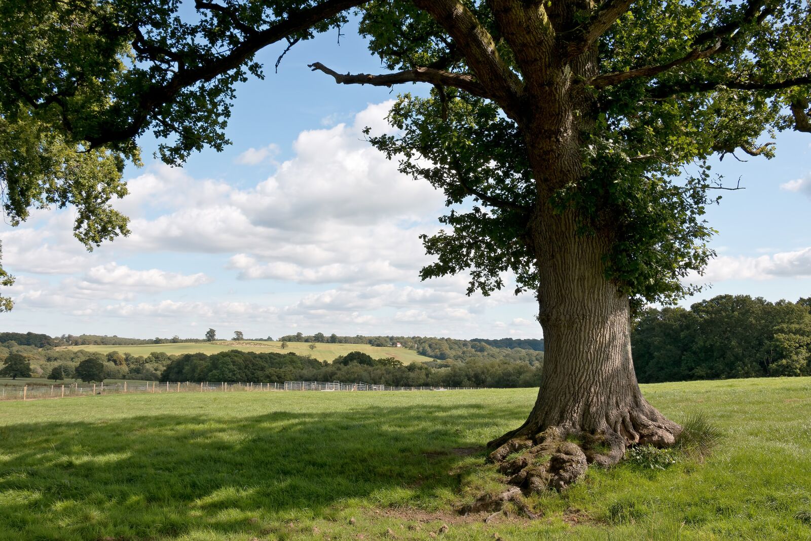 Canon EOS 70D sample photo. Landscape, countryside, meadow photography