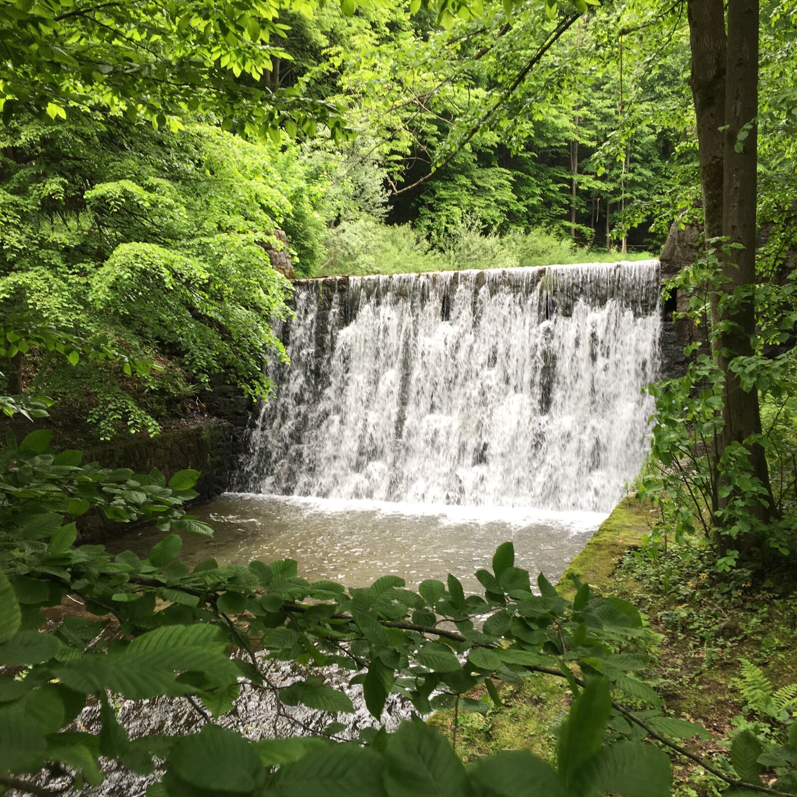 iPhone 6s Plus back camera 4.15mm f/2.2 sample photo. Waterfall, water, river photography