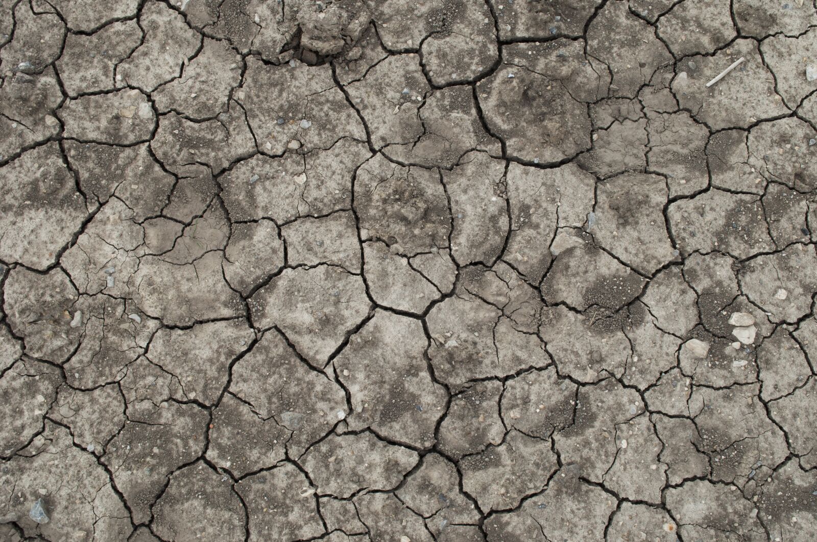Nikon D5000 sample photo. Earth, cracks, scorched earth photography