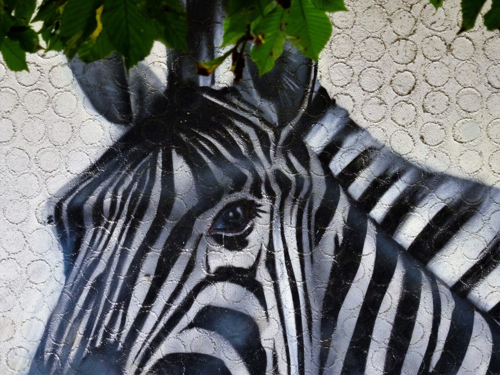 Sony Cyber-shot DSC-HX50V sample photo. Zebra, painting, mural photography