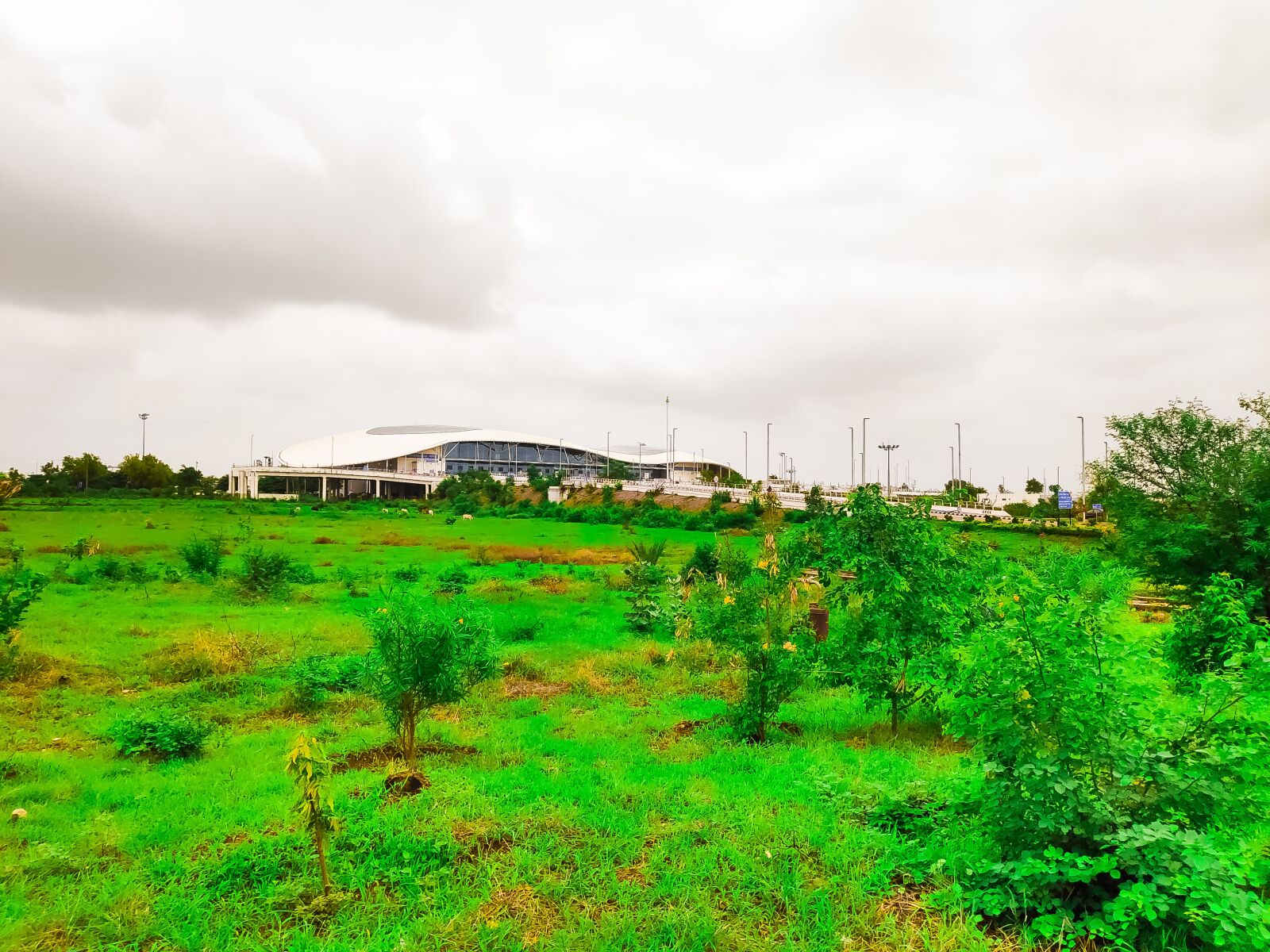 Xiaomi POCO F1 sample photo. Nature, natural, natural screen photography