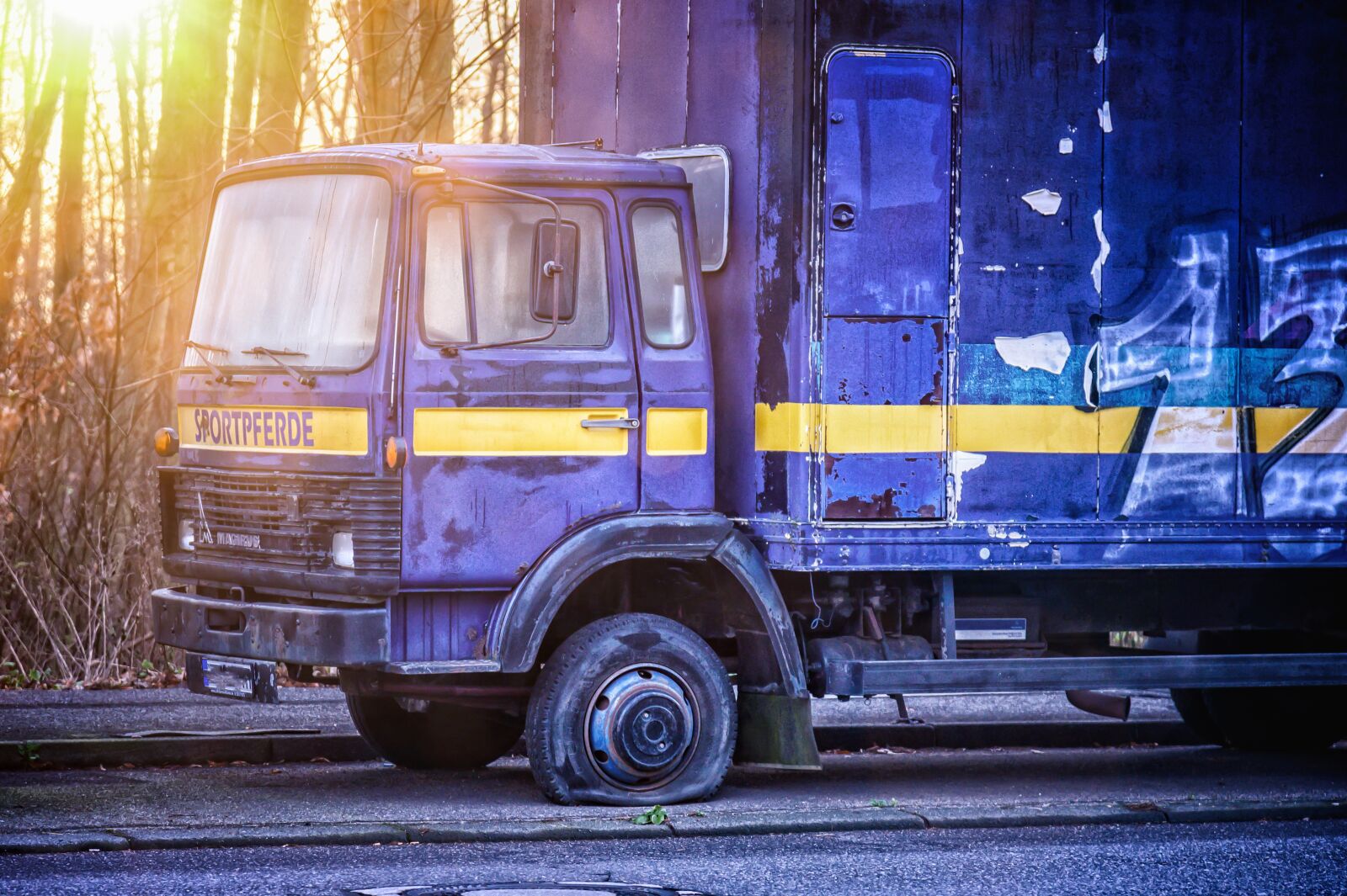 Nikon Z6 sample photo. Wheel, mature, truck photography
