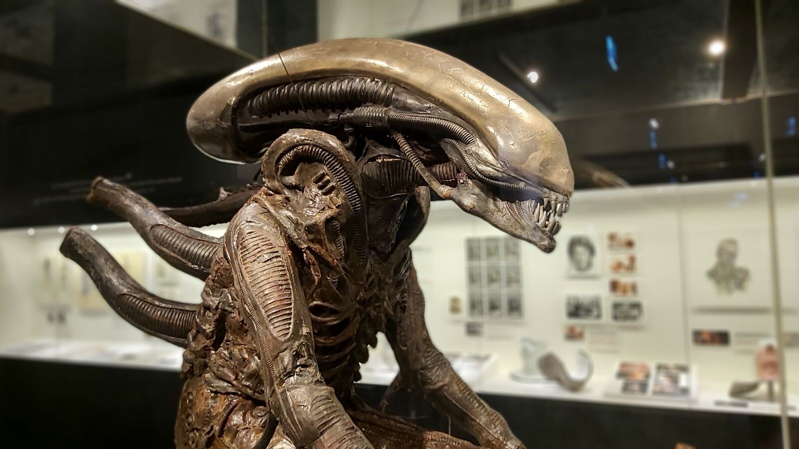 Samsung Galaxy A70 sample photo. Alien, h, r photography
