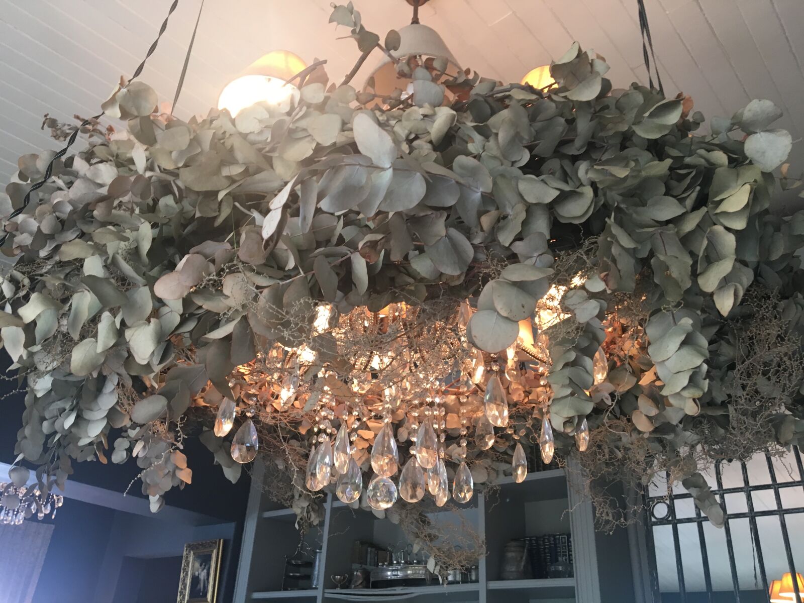 Apple iPhone 6s sample photo. Art, chandelier, dry, flowers photography