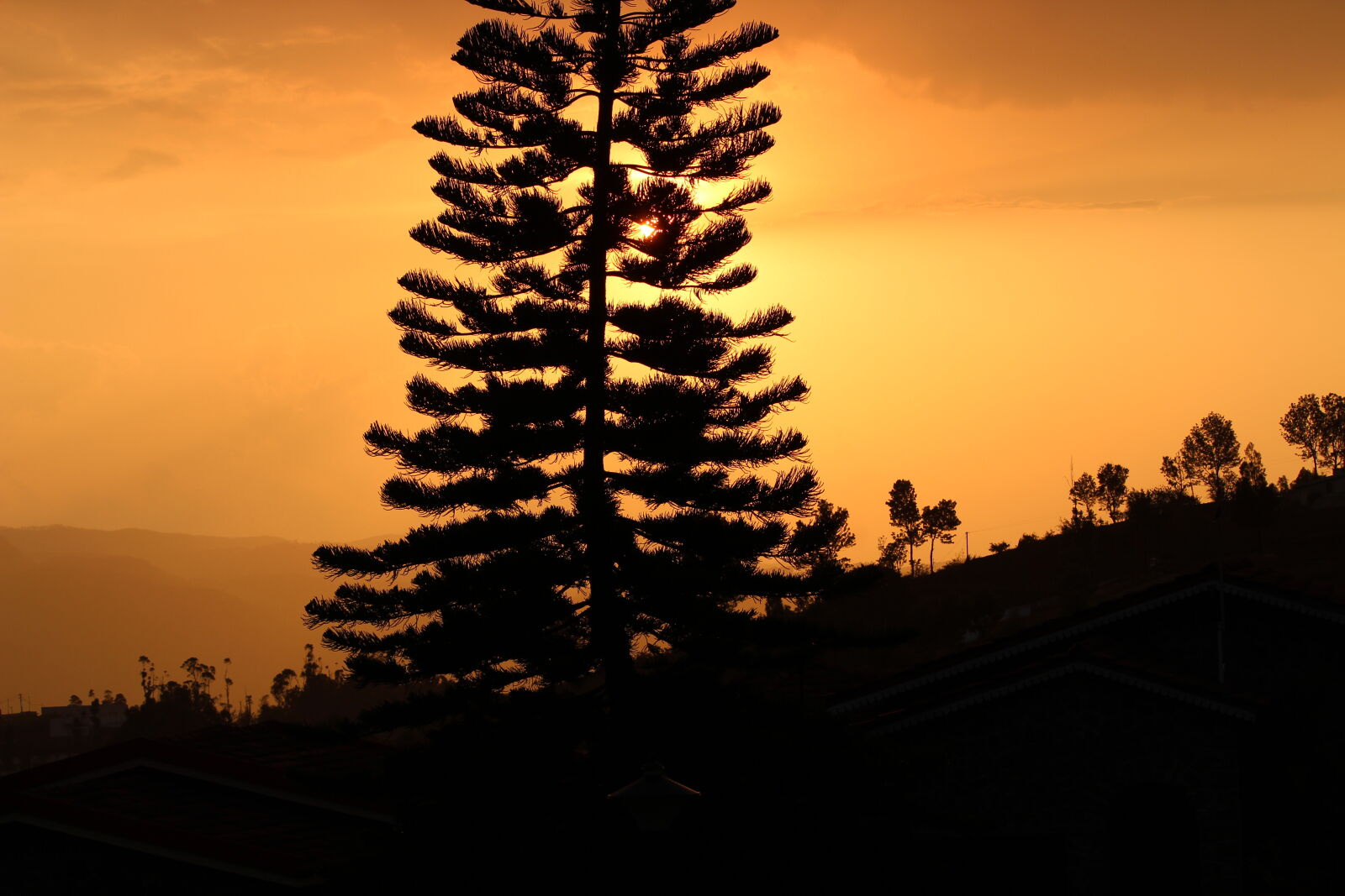 Canon EOS 1300D (EOS Rebel T6 / EOS Kiss X80) sample photo. Evening, sun photography