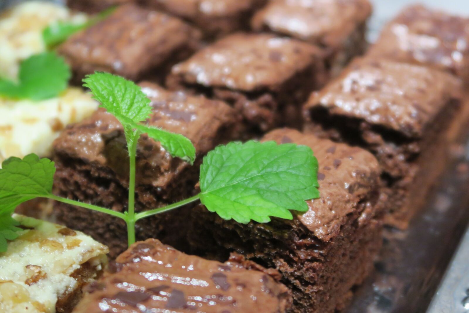 Canon PowerShot G5 X sample photo. Chocolate cake, chocolate, cookies photography
