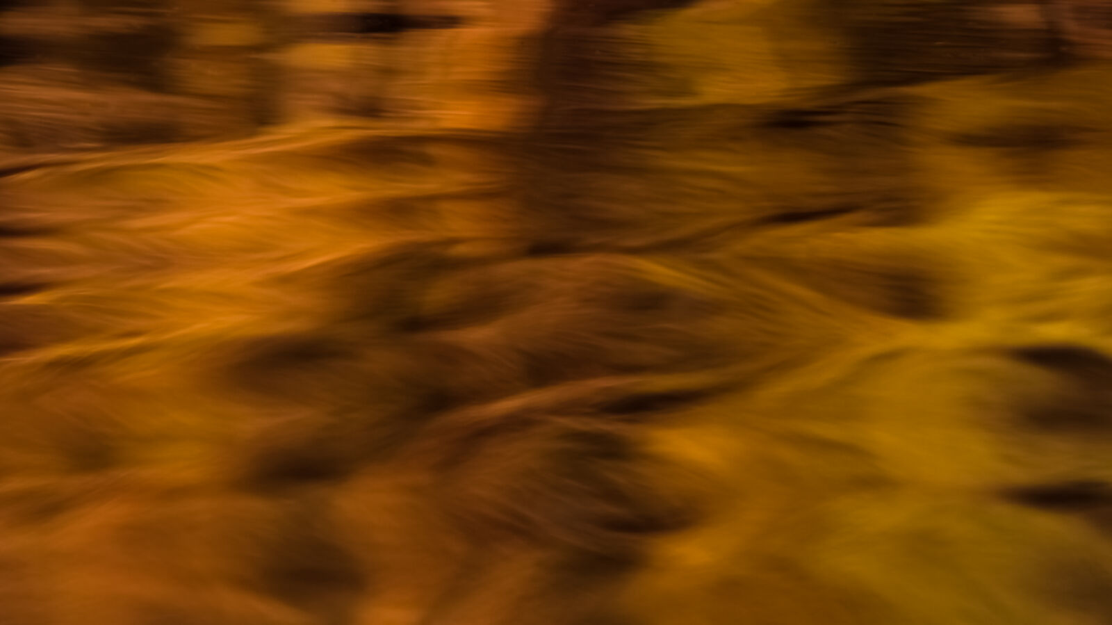 Canon EF 75-300mm f/4-5.6 sample photo. Orange, still, water, water photography