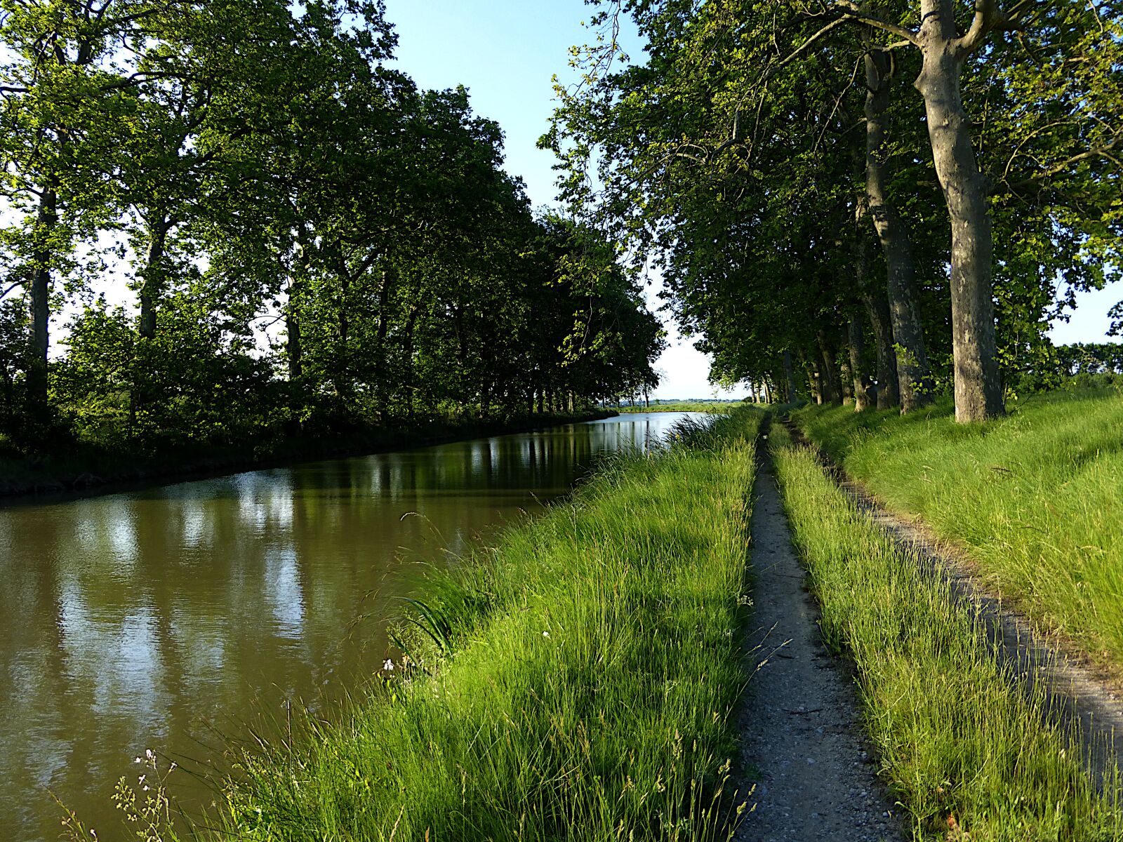 Panasonic Lumix DMC-ZS25 (Lumix DMC-TZ35) sample photo. Nature, canal du midi photography