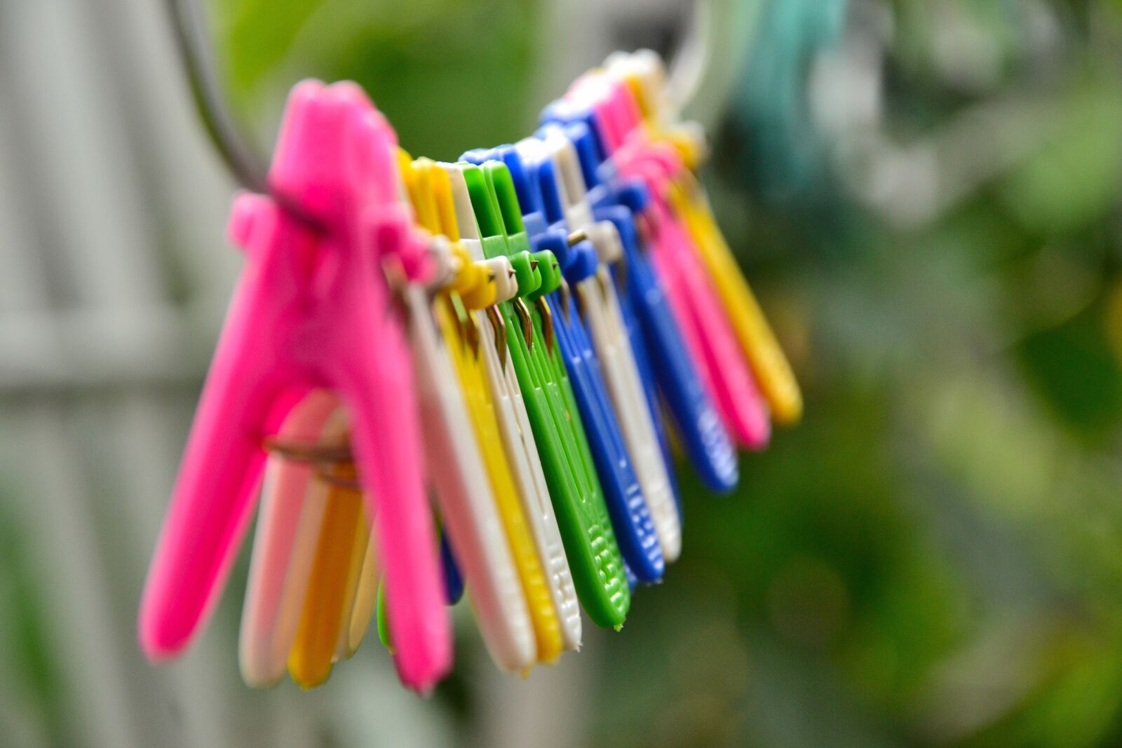 Nikon D3100 sample photo. Clothing, cloth, color photography