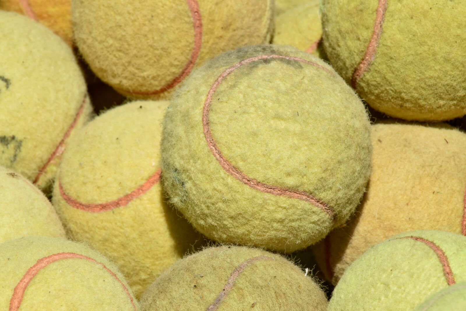 Nikon D5500 sample photo. Ball, details, tennis, equipment photography
