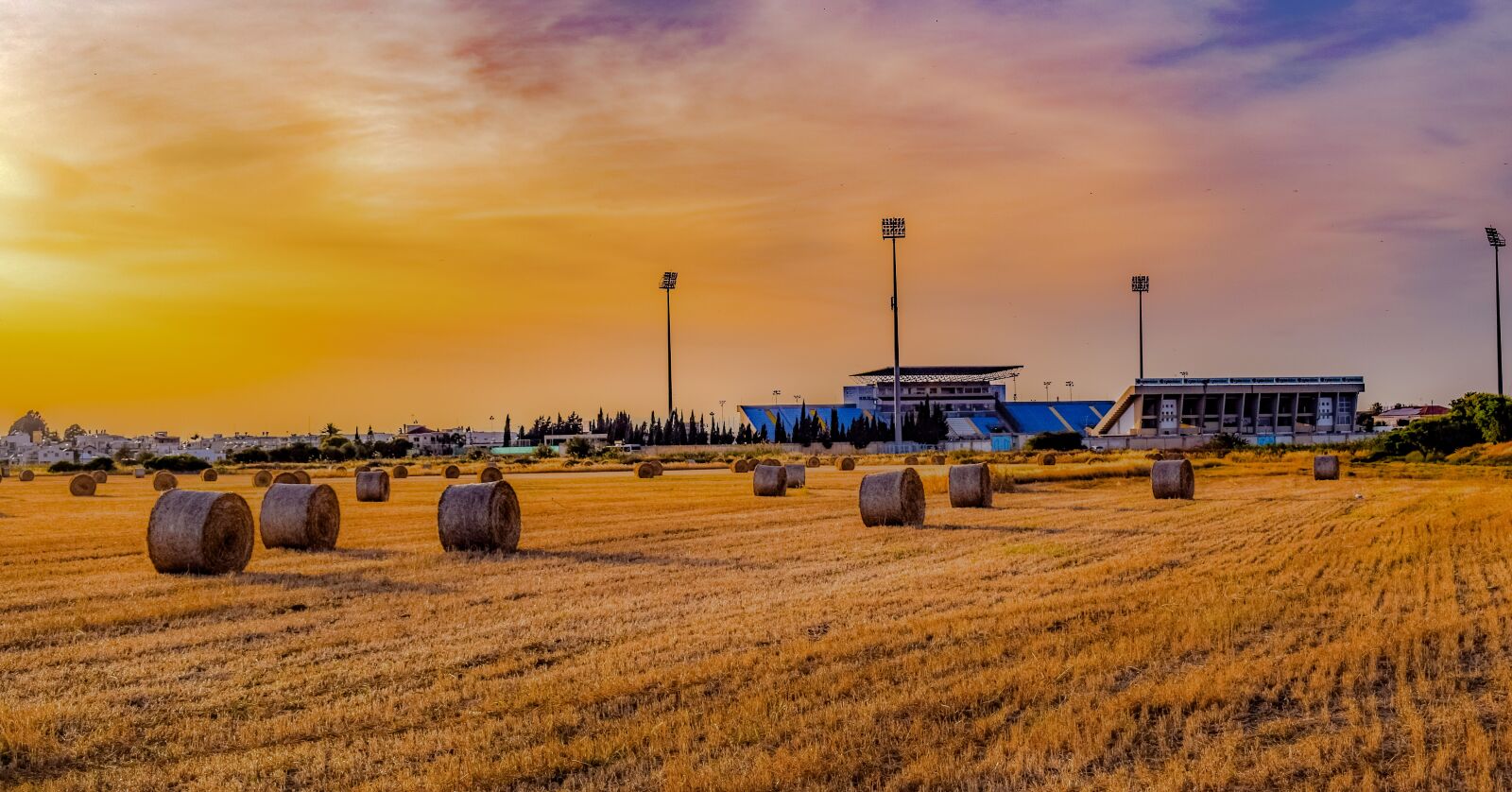 Nikon D3300 sample photo. Field, landscape, agriculture photography