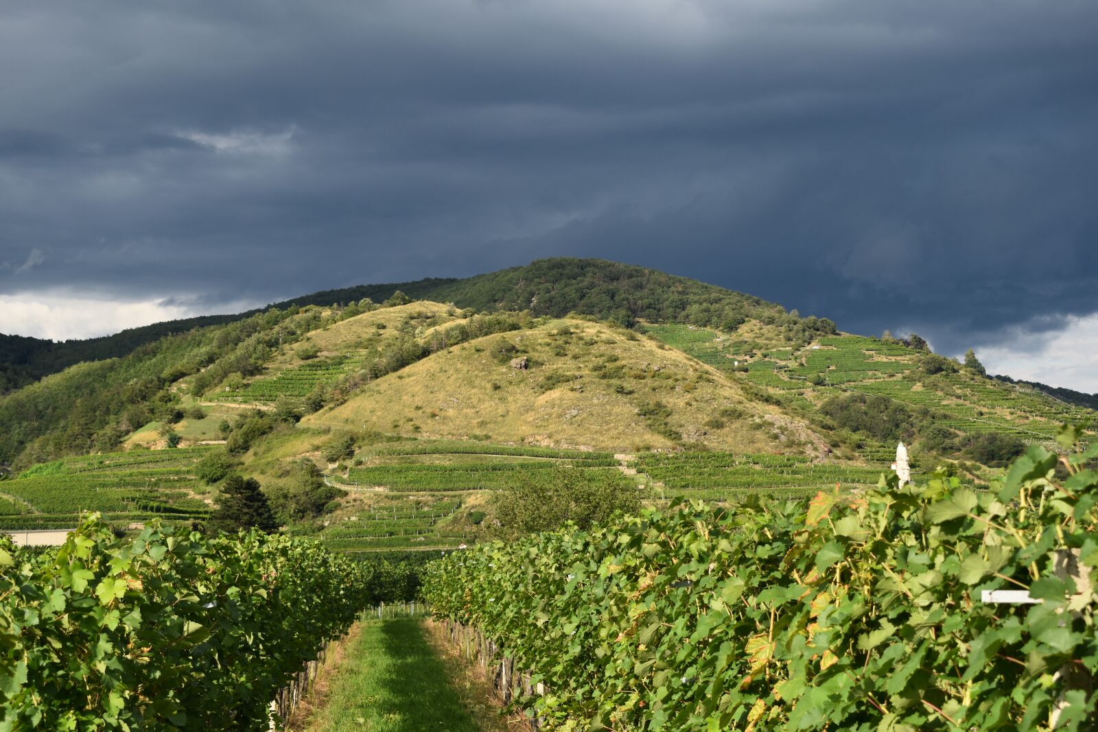 Nikon D3500 sample photo. Hill, nature, landscape photography