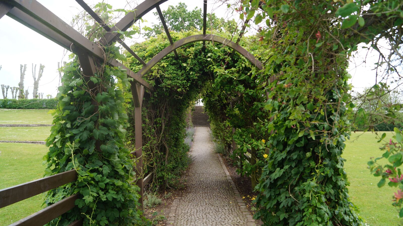 Sony DT 18-55mm F3.5-5.6 SAM II sample photo. Park, road, tunnel photography