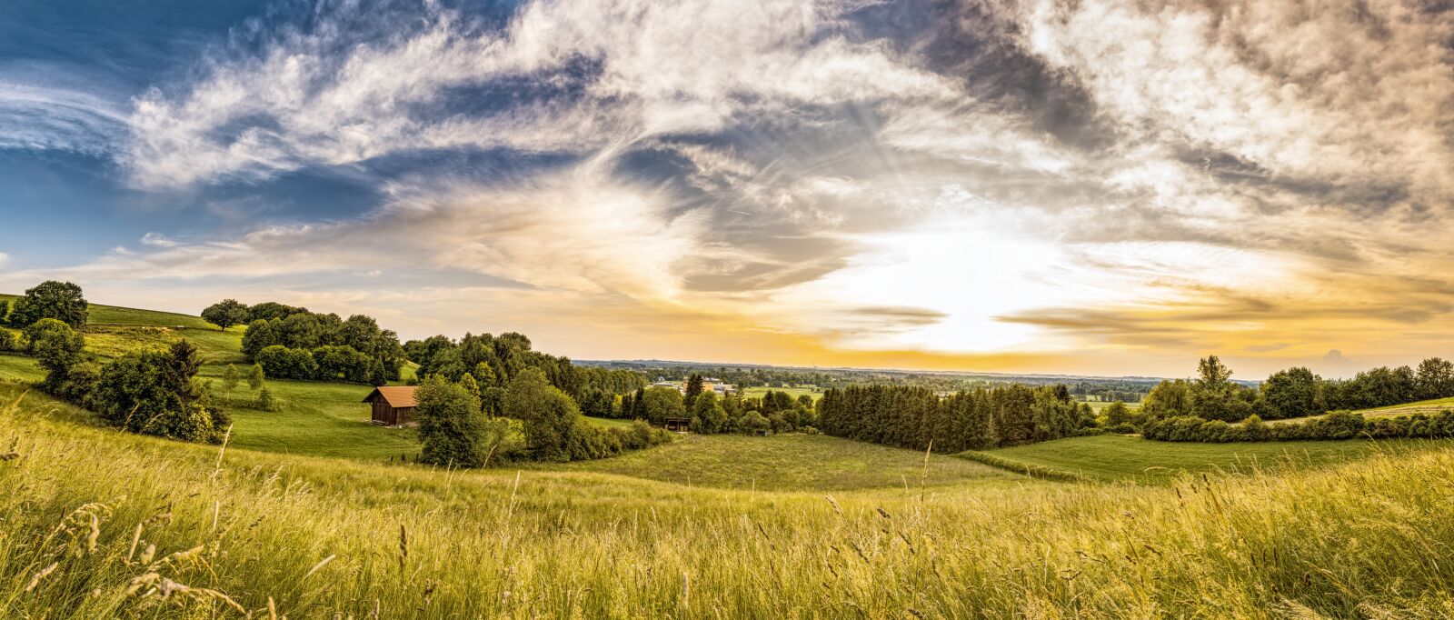 Sony a6300 + Sigma 30mm F2.8 EX DN sample photo. Hut, meadow, pasture photography