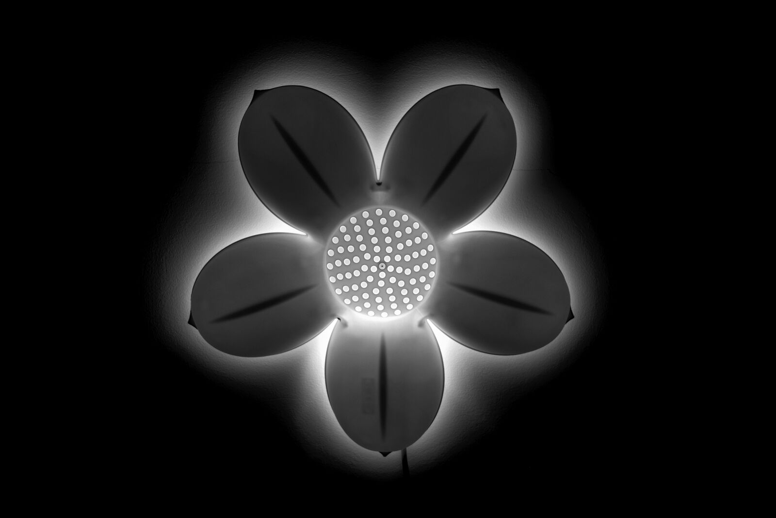 Nikon D3300 sample photo. Flower, lamp, lamp, theme photography