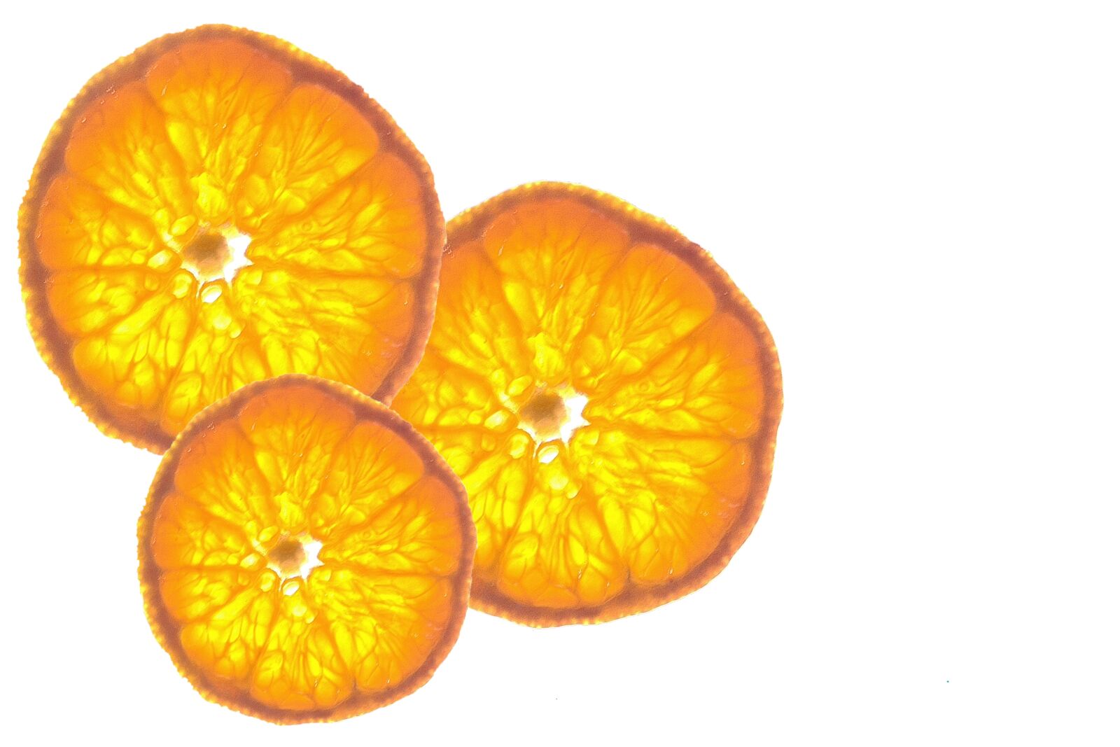 Nikon D5600 sample photo. Mandarin, discs, orange photography