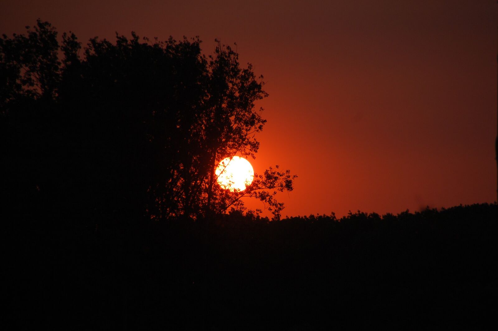 Nikon D40 sample photo. Sunset, twilight, evening photography