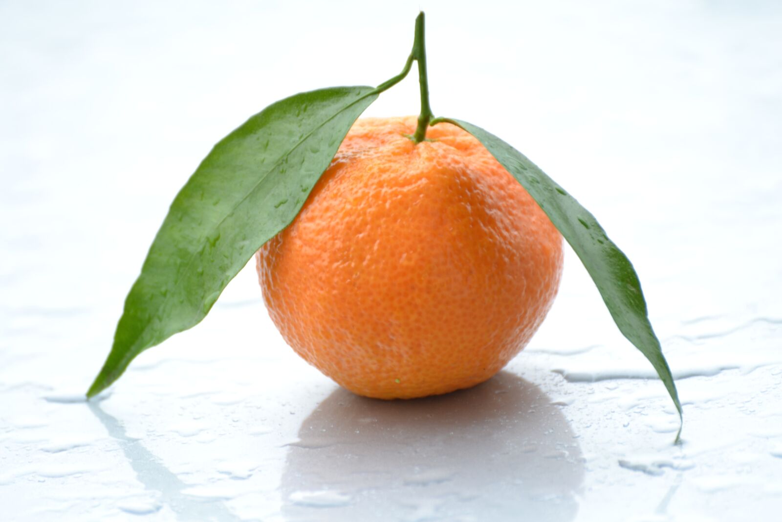 Nikon D3100 sample photo. Orange, fruit, water photography