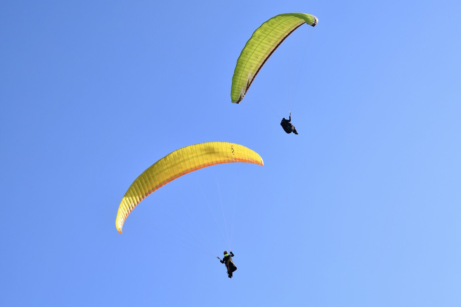 Nikon D5600 sample photo. Paragliding, paragliders-paraglider, free flight photography