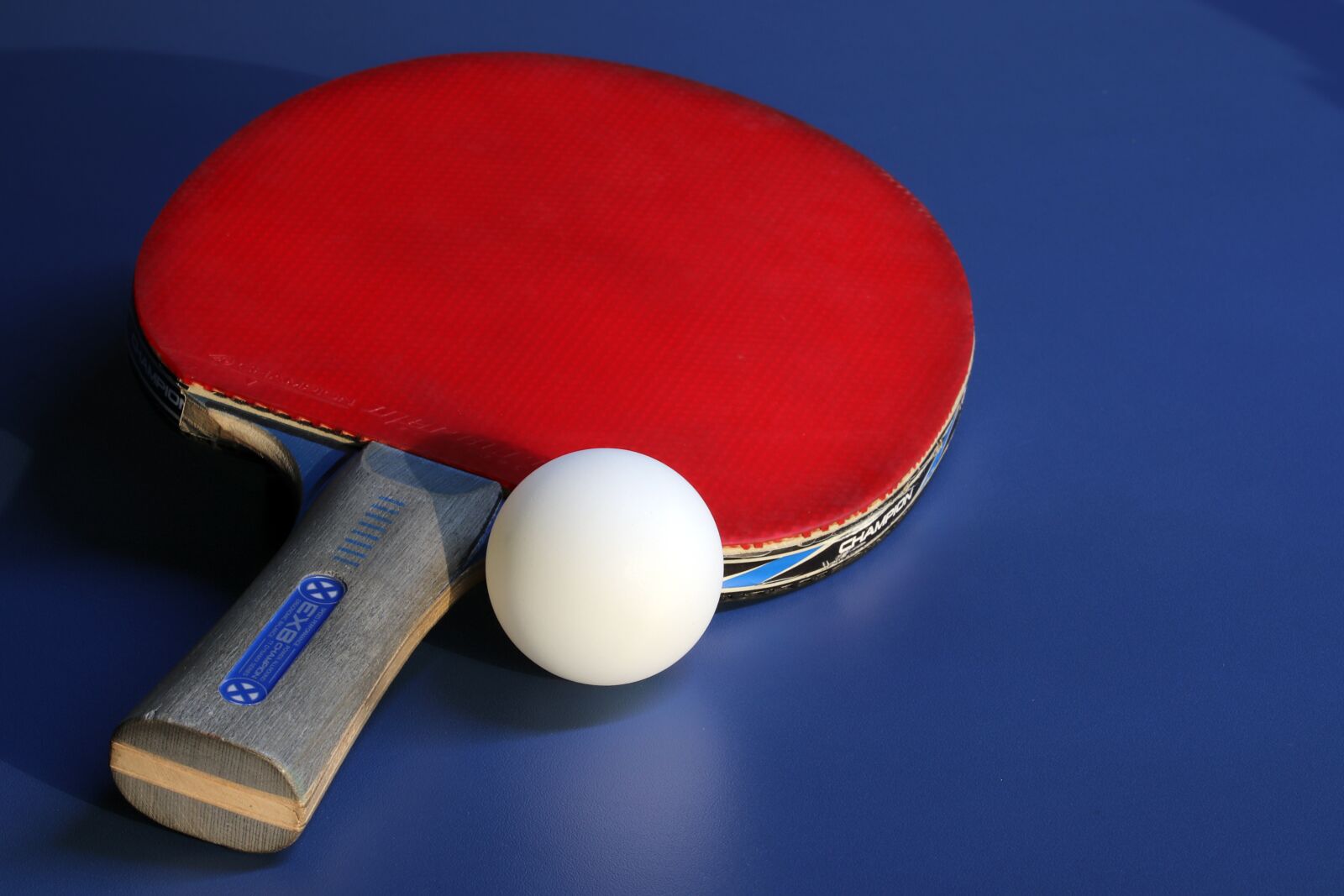 Canon EOS 800D (EOS Rebel T7i / EOS Kiss X9i) sample photo. Table tennis, sport, games photography
