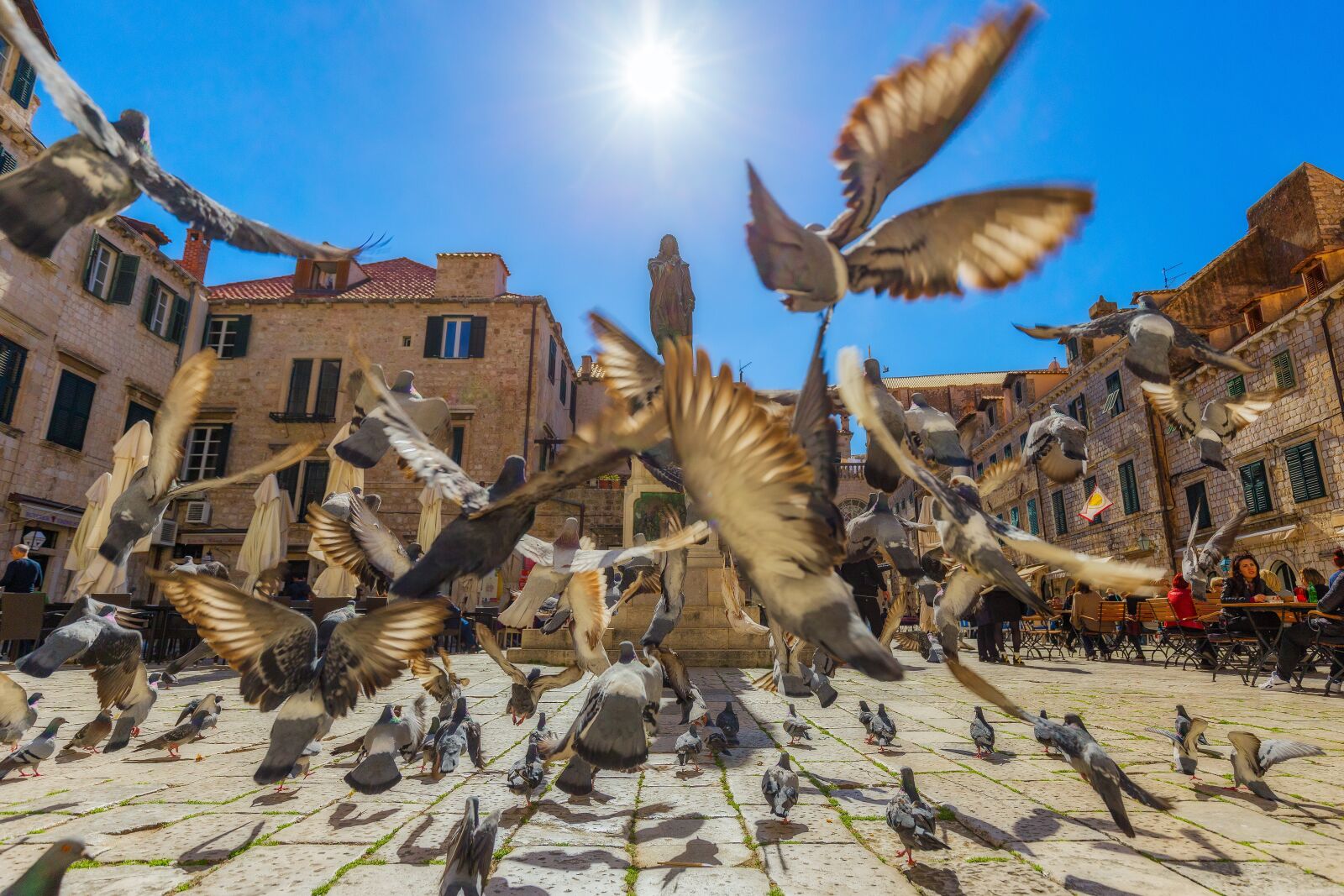 Canon EF 16-35mm F4L IS USM sample photo. Pigeons, pigeon, dubrovnik photography
