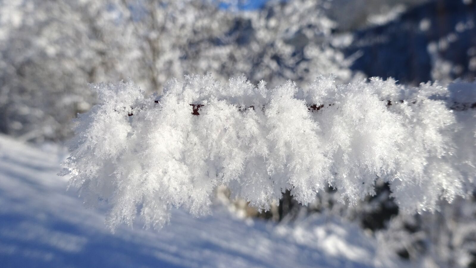 Sony Cyber-shot DSC-WX350 sample photo. Ice, snow, frost photography